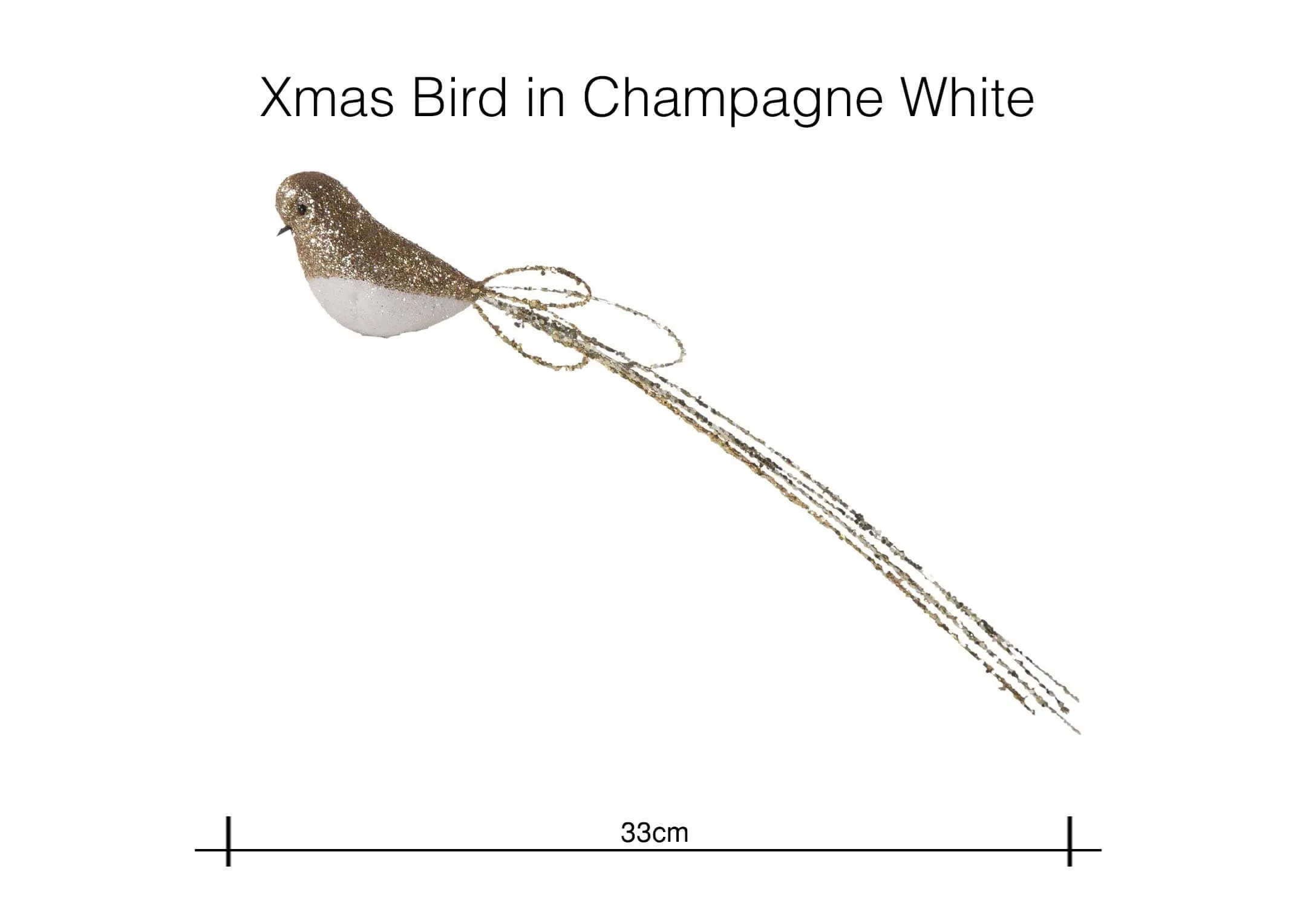 Dimensions Image