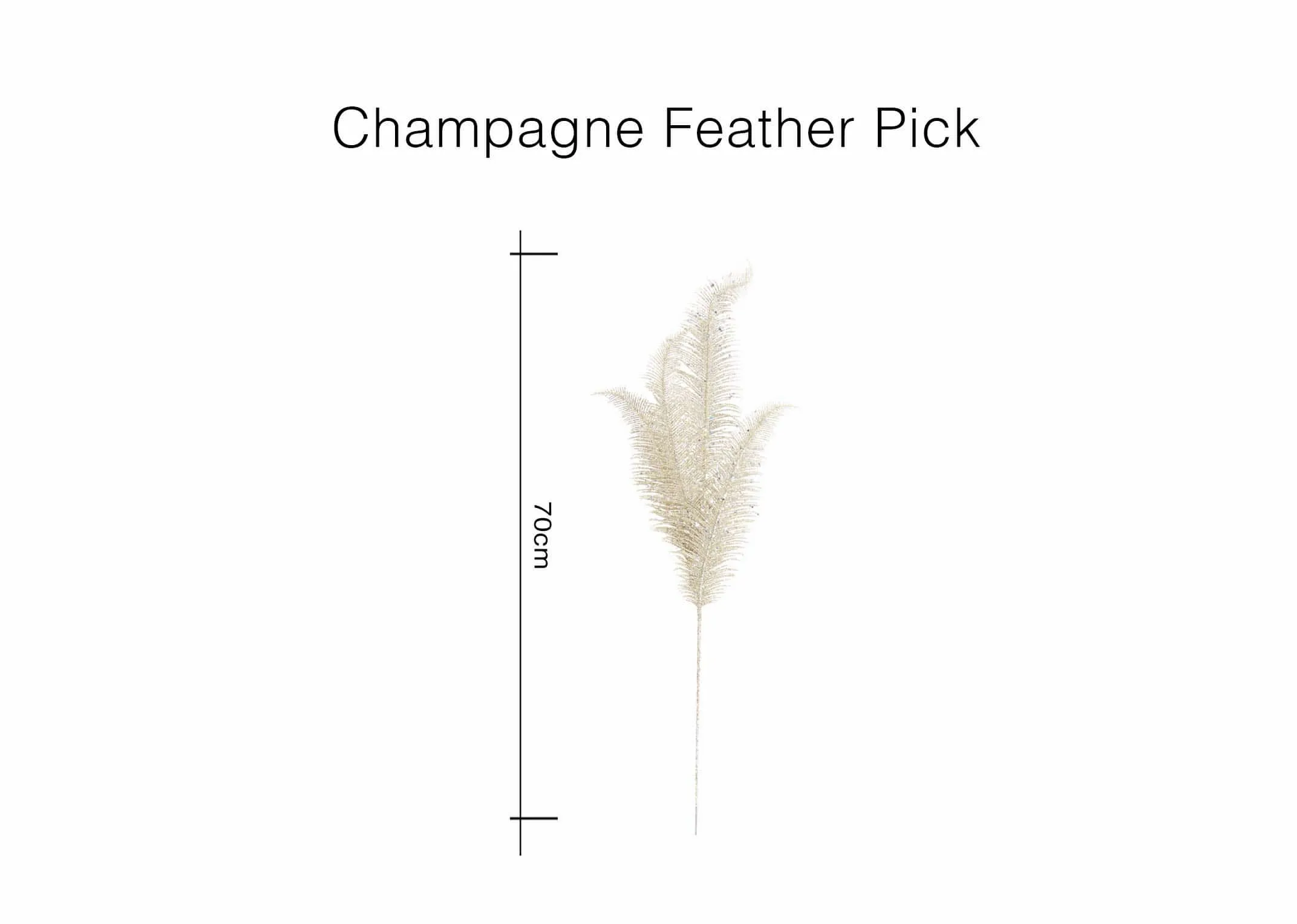 A dimension image of the Champagne Feather Pick with 70cm (Height)