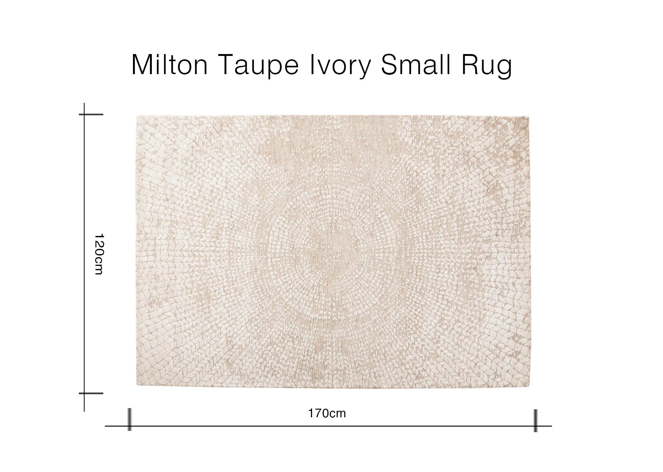 A dimension image of the Milton Taupe Rug with 170cm (Width) x 120cm (Height)