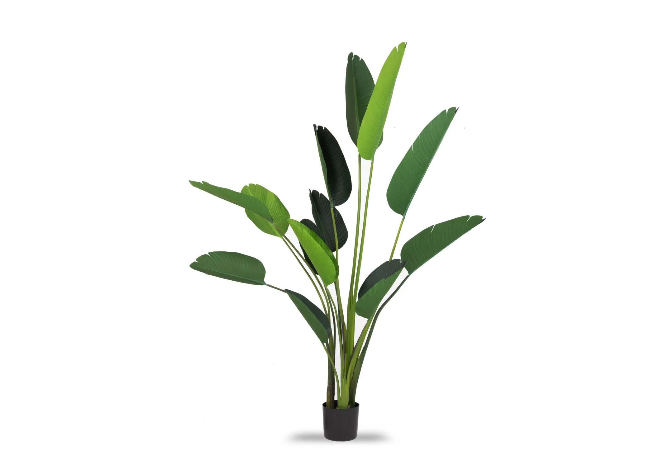 180cm Artificial Tree with Pot - Strelitzia