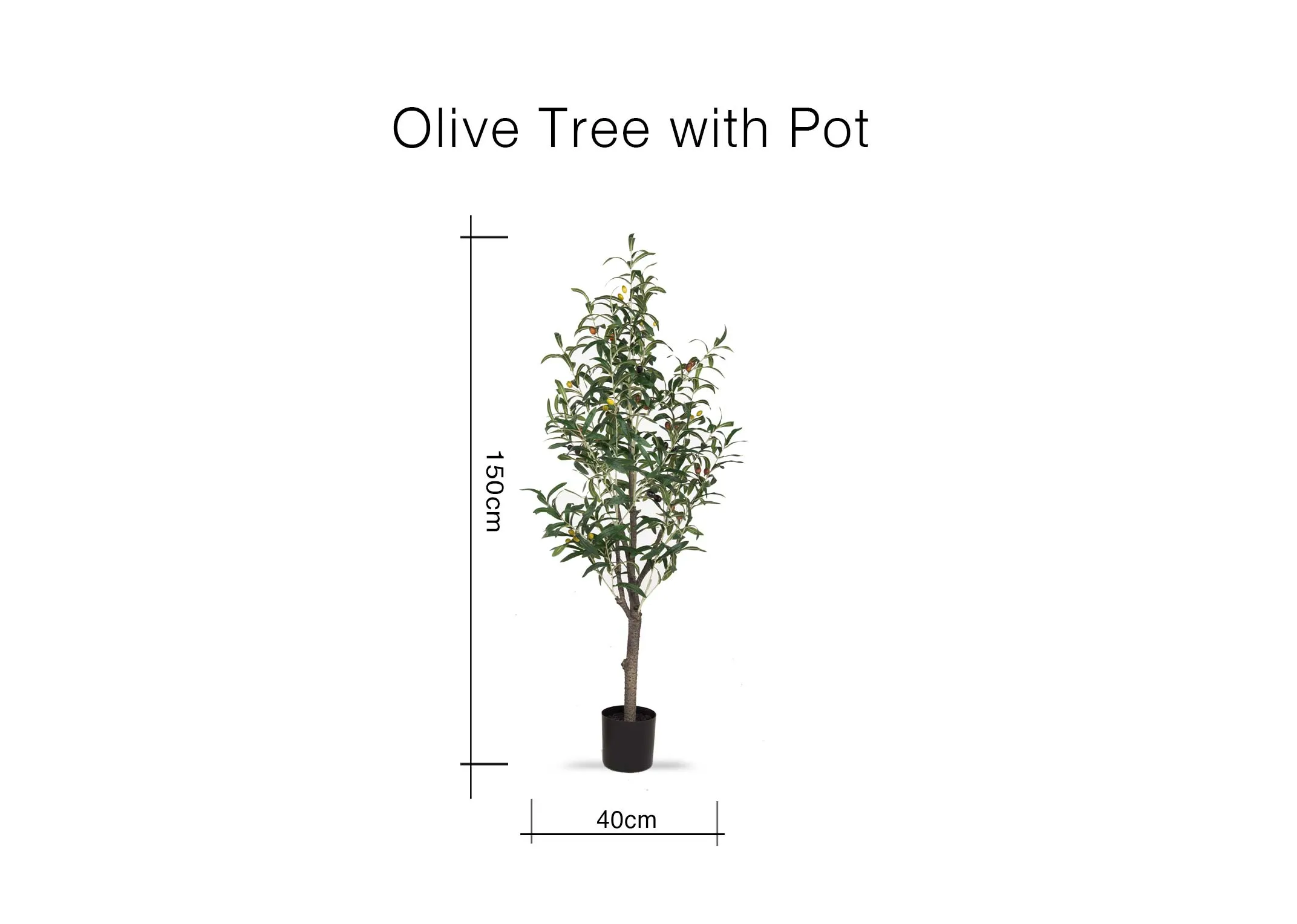 A creative lifestyle image of the Olive Collection with 150cm tree on the second left