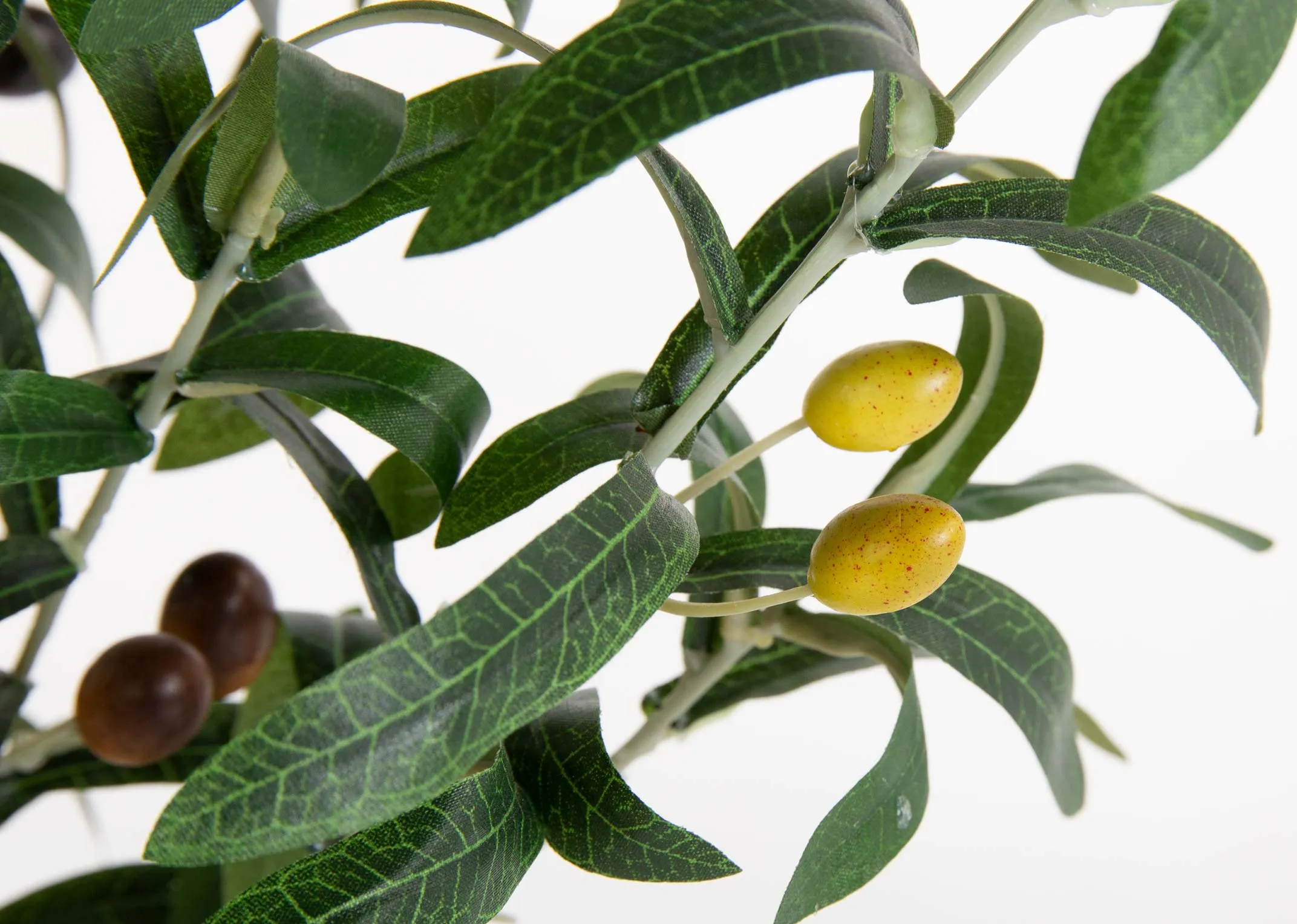 A 190cm Olive tree in black pot from EZ Living's Olive collection.