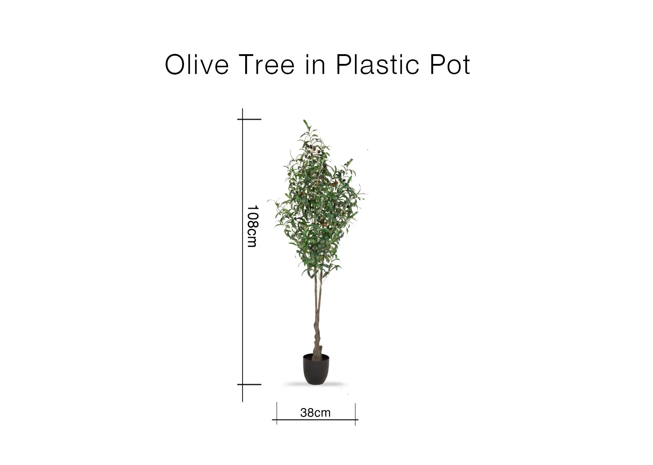A dimension image of the Olive Tree in Pot with 38cm x 108cm