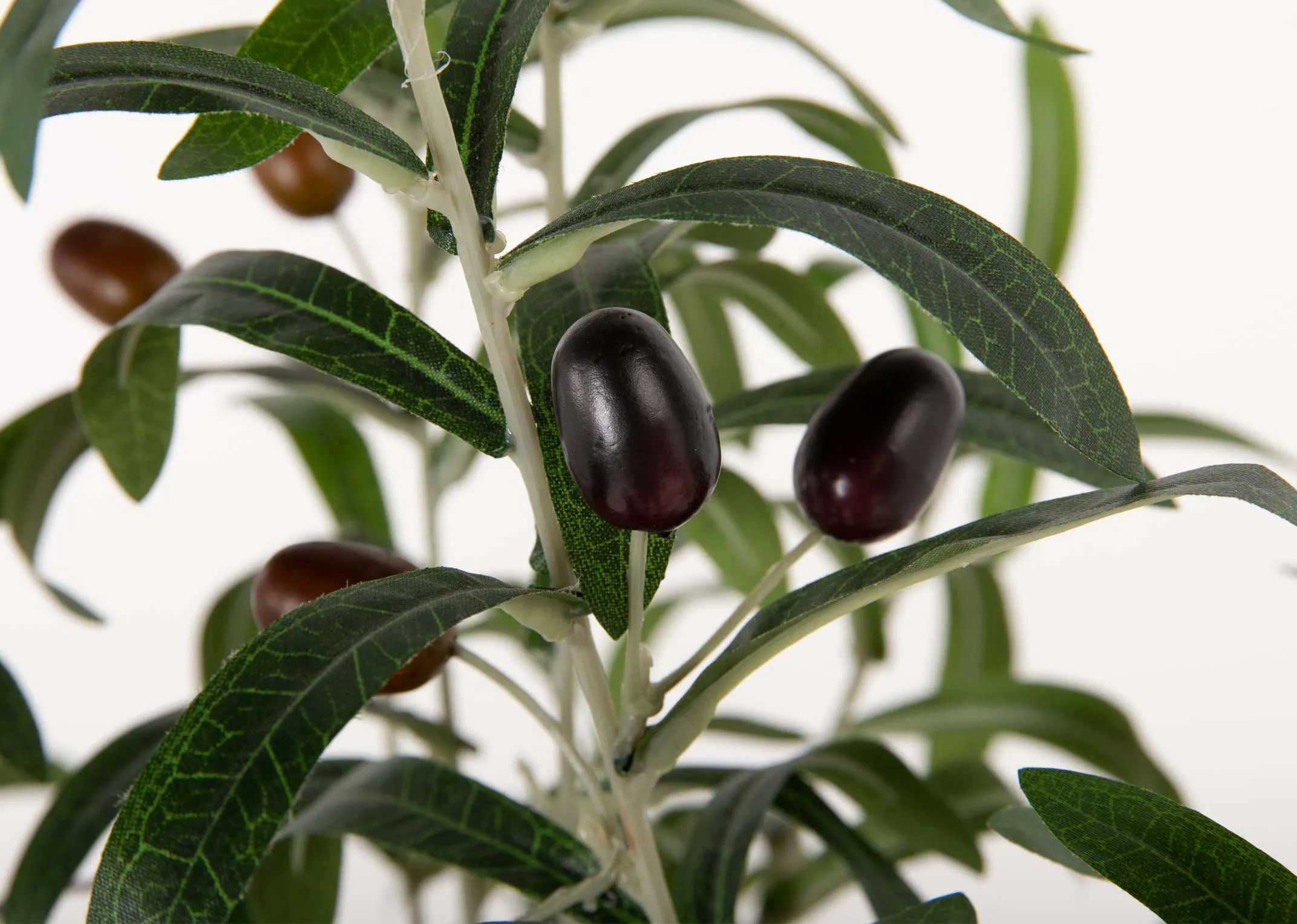 A closeup image of the lifelike olives on the tree from EZ Living Furniture's Olive collection.