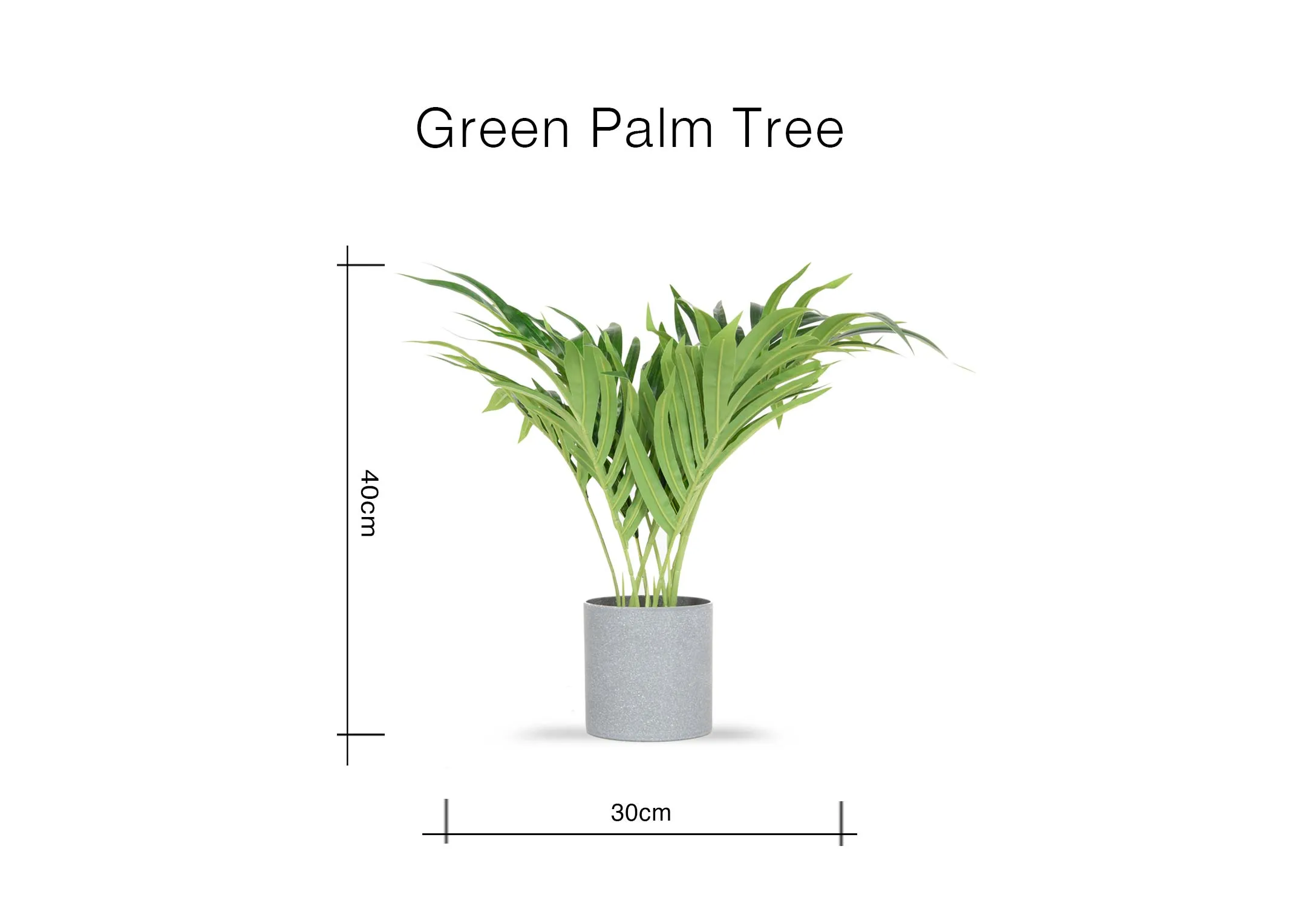 A dimension image of the Green Palm Tree in grey pot with 30cm x 40cm
