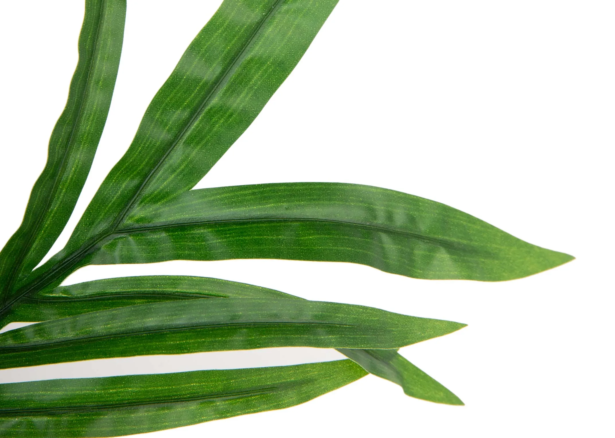 A leafy green mini palm tree in a grey pot from EZ Living's Olive collection. Front view of leafy palm tree leaves