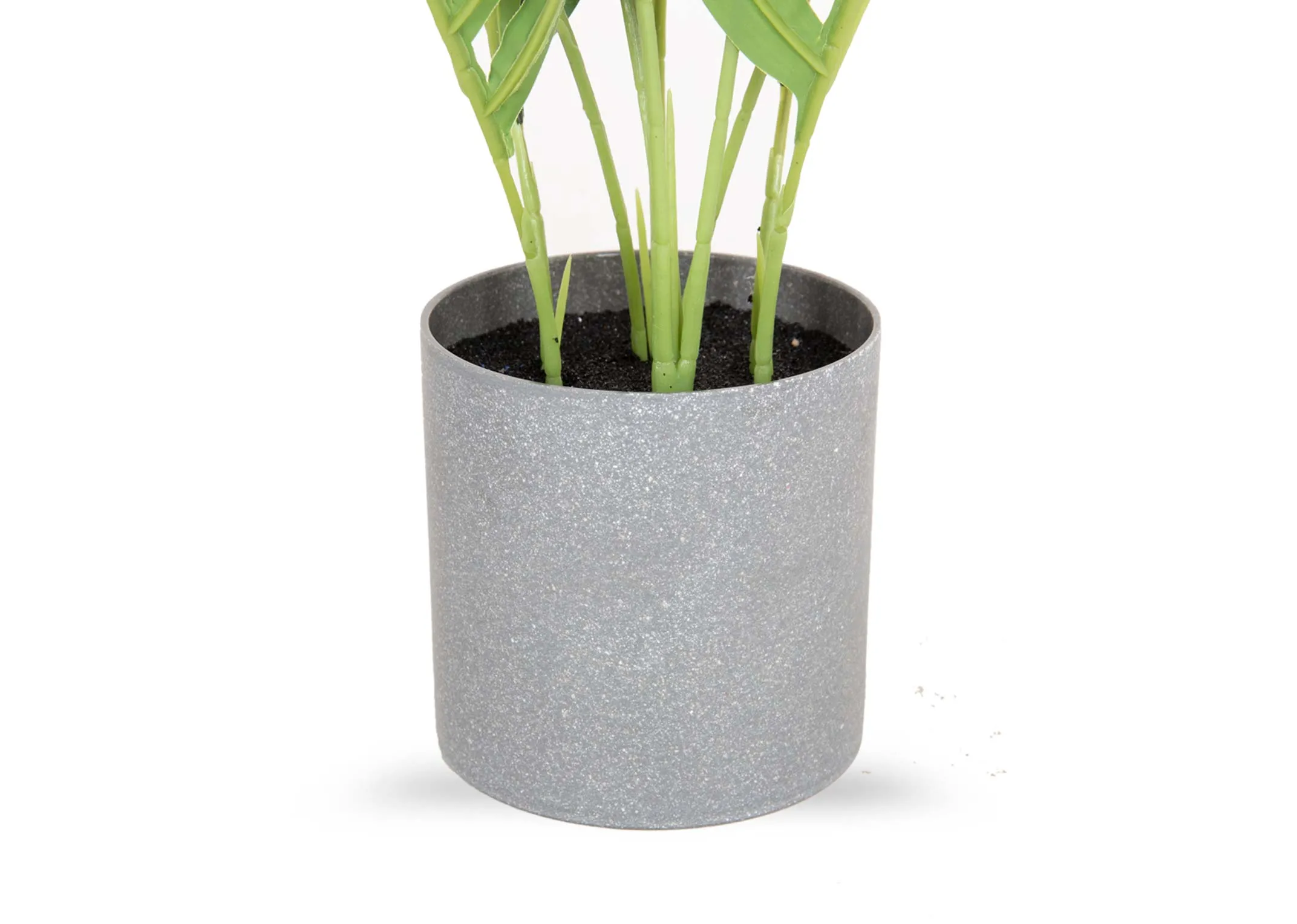 A leafy green mini palm tree in a grey pot from EZ Living's Olive collection. Closeup of grey pot