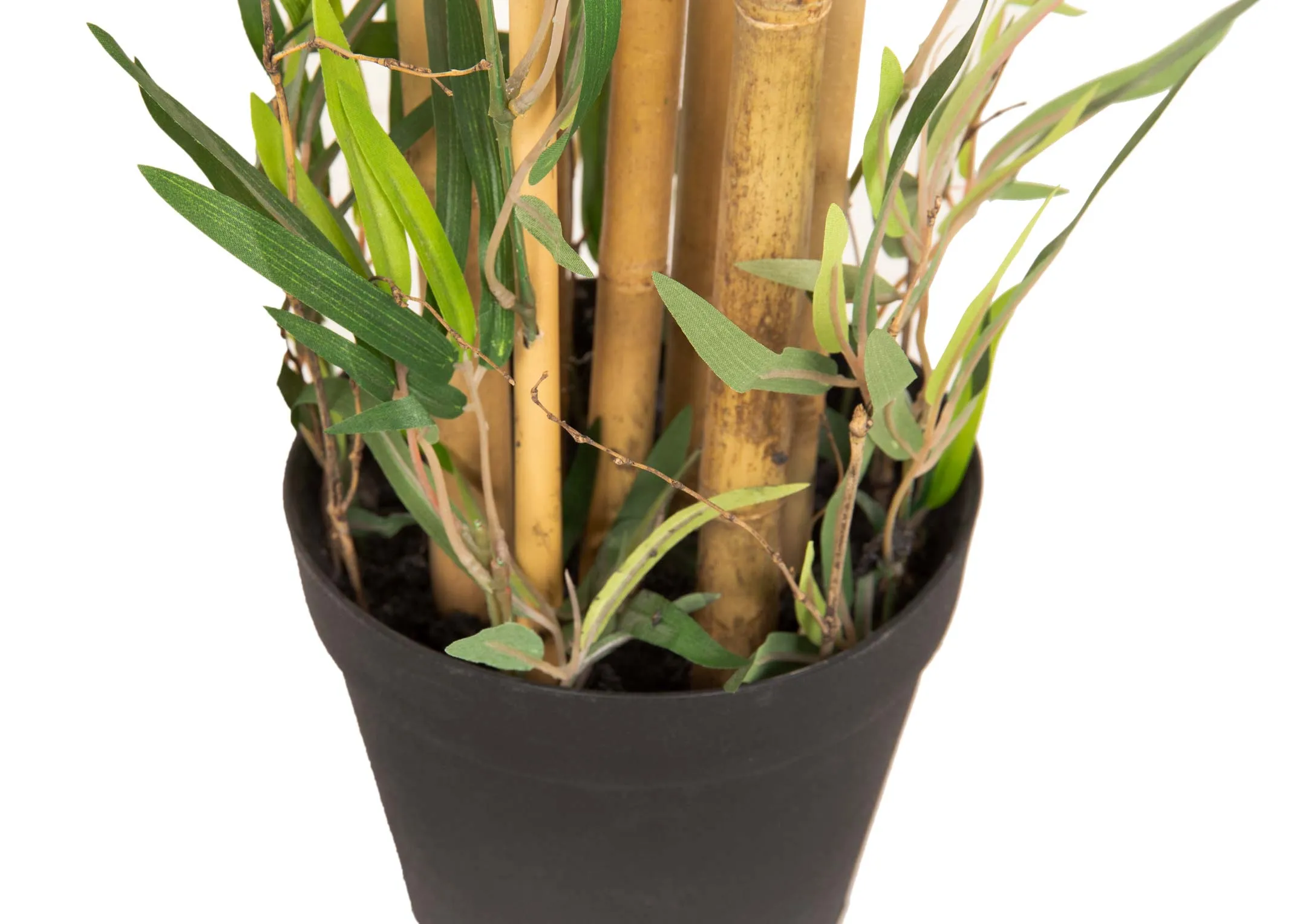 An artificial bamboo tree in black pot from EZ Living Furniture's Olive collection. Closeup of pot & lifelike stems