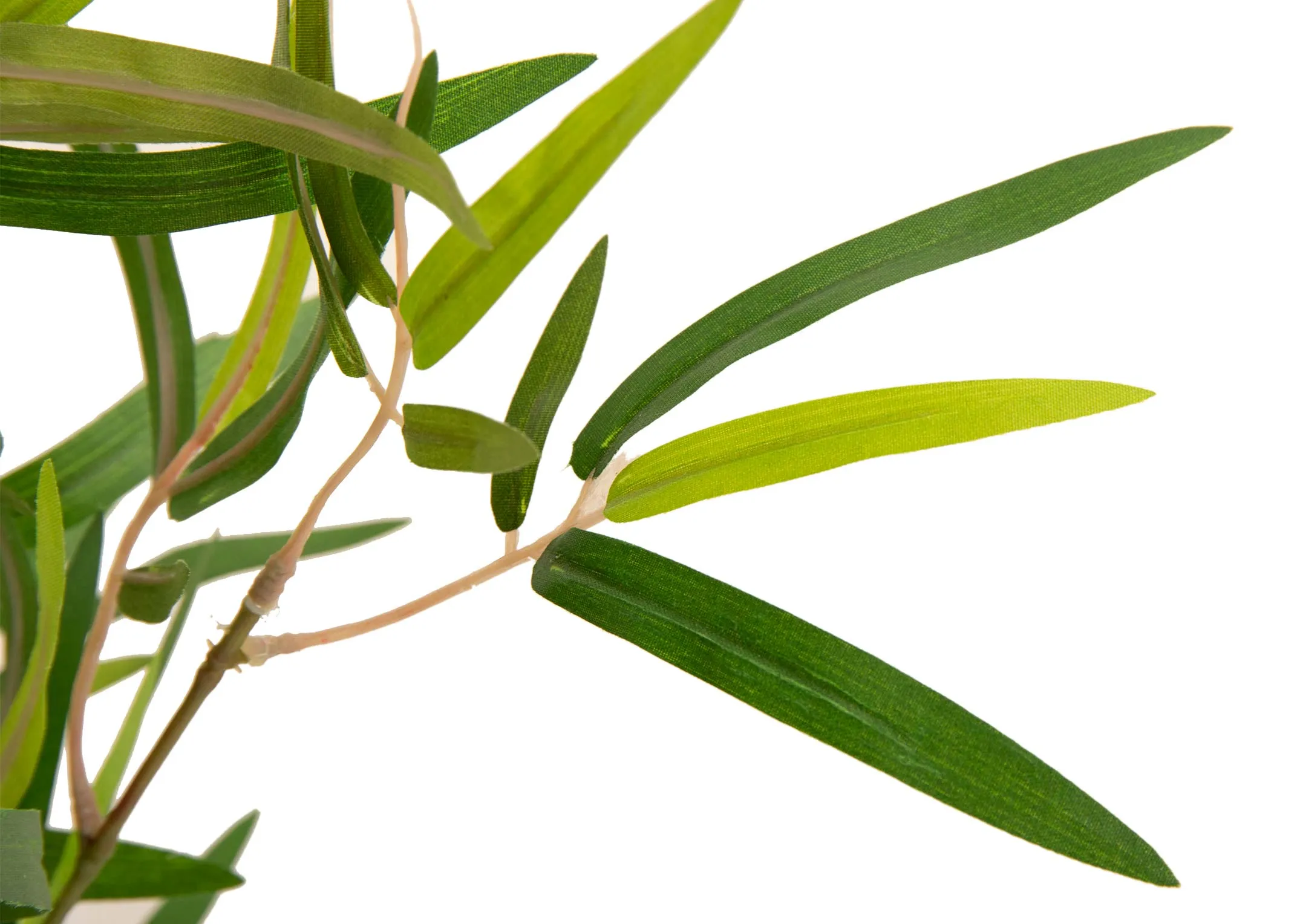 An artificial bamboo tree in black pot from EZ Living Furniture's Olive collection. Closeup of life like leaves