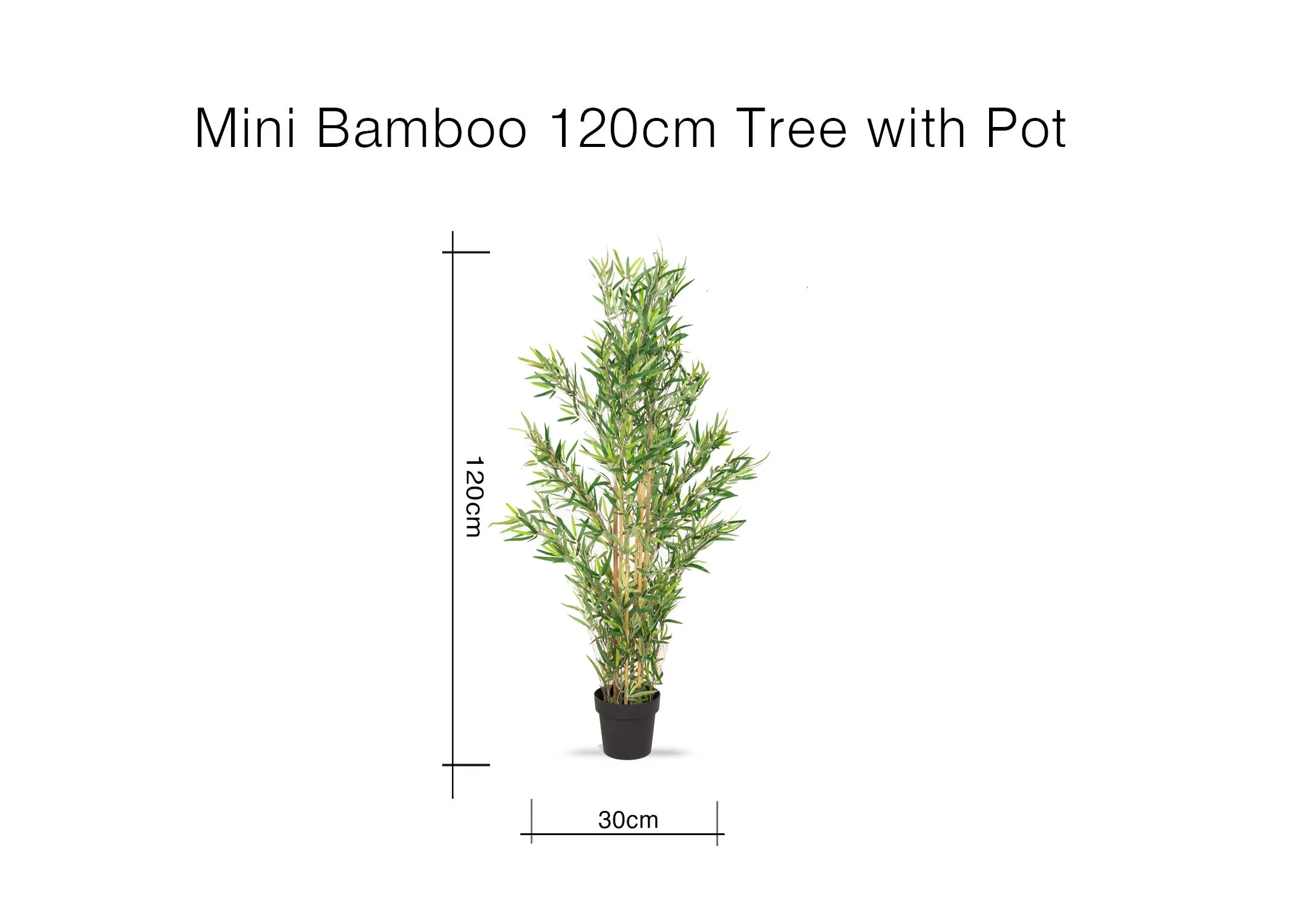 A dimension image of the Bamboo tree with pot with 30cm x 120cm
