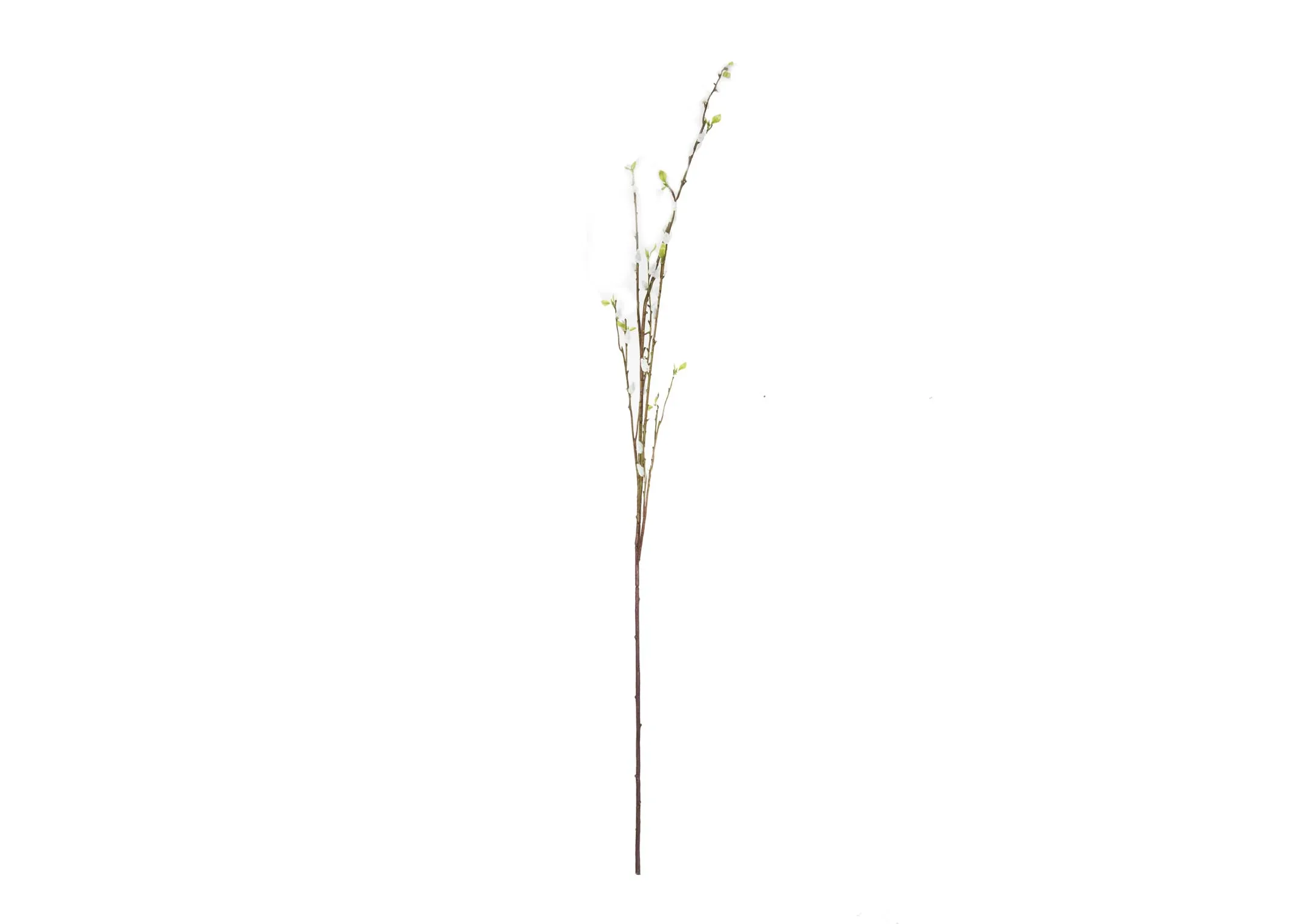 136cm Artificial White Bud - Willow