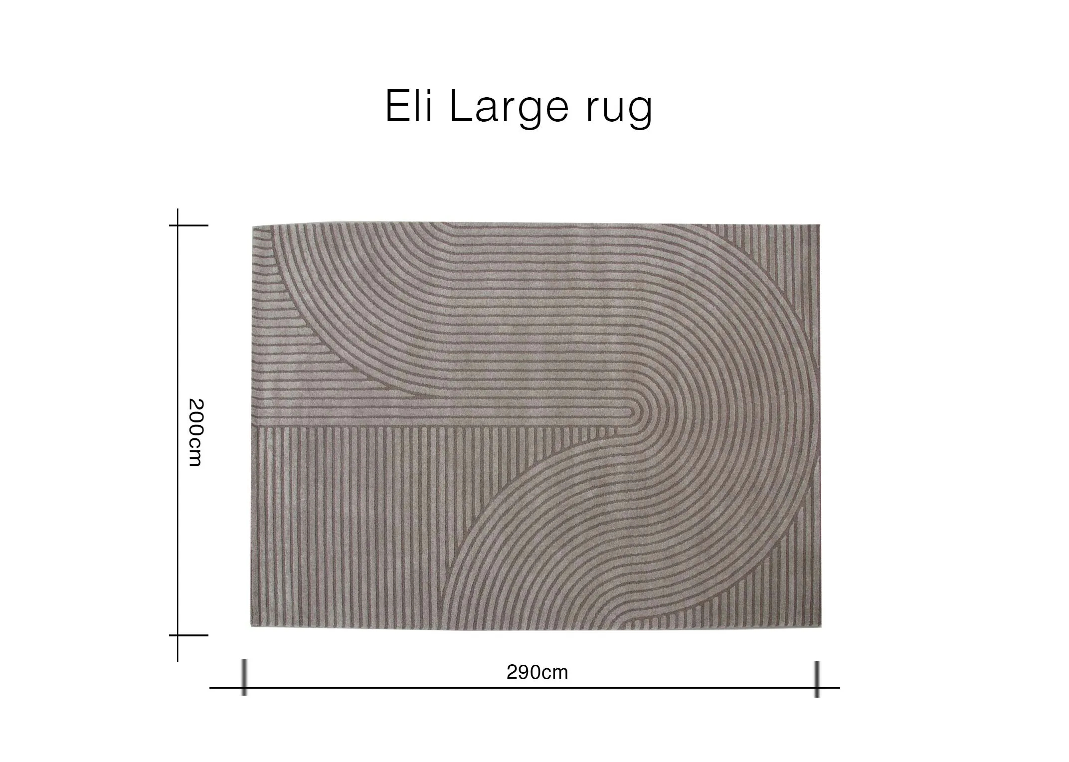 A dimension image of the Eli Large Rugs with 290cm x 200cm