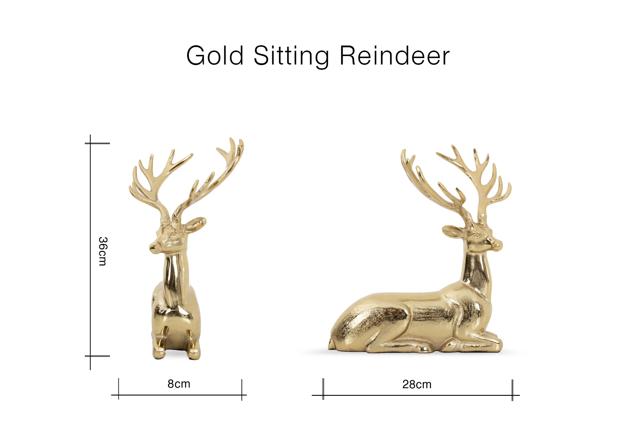 A dimension imagee of the Gold Sitted Reindeer with 8cm x 28cm x 36cm