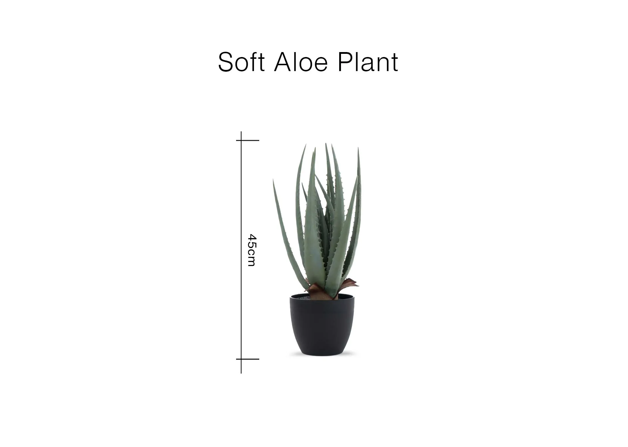 image of the Soft Aloe Plant with 45cm