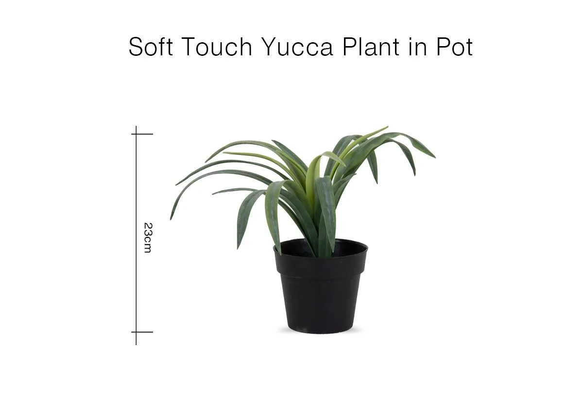 A dimension image with Soft Touch Yucca Pot with 23cm