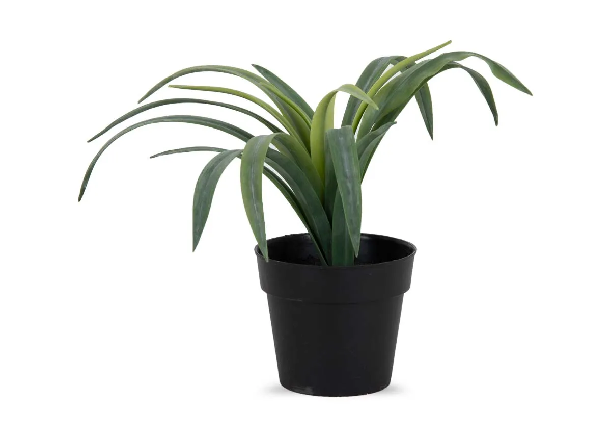 23cm Soft Touch Plant in Pot - Yucca