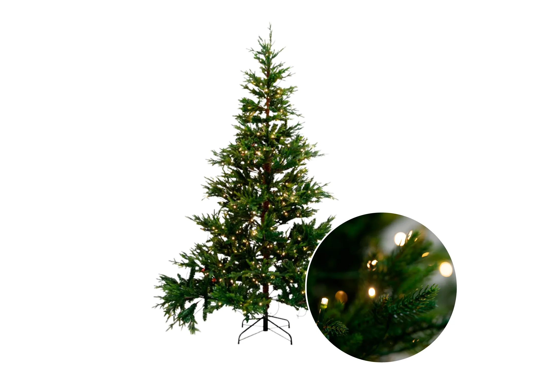 Douglas 8ft (240cm) With 650WW LED Lights - Christmas Tree