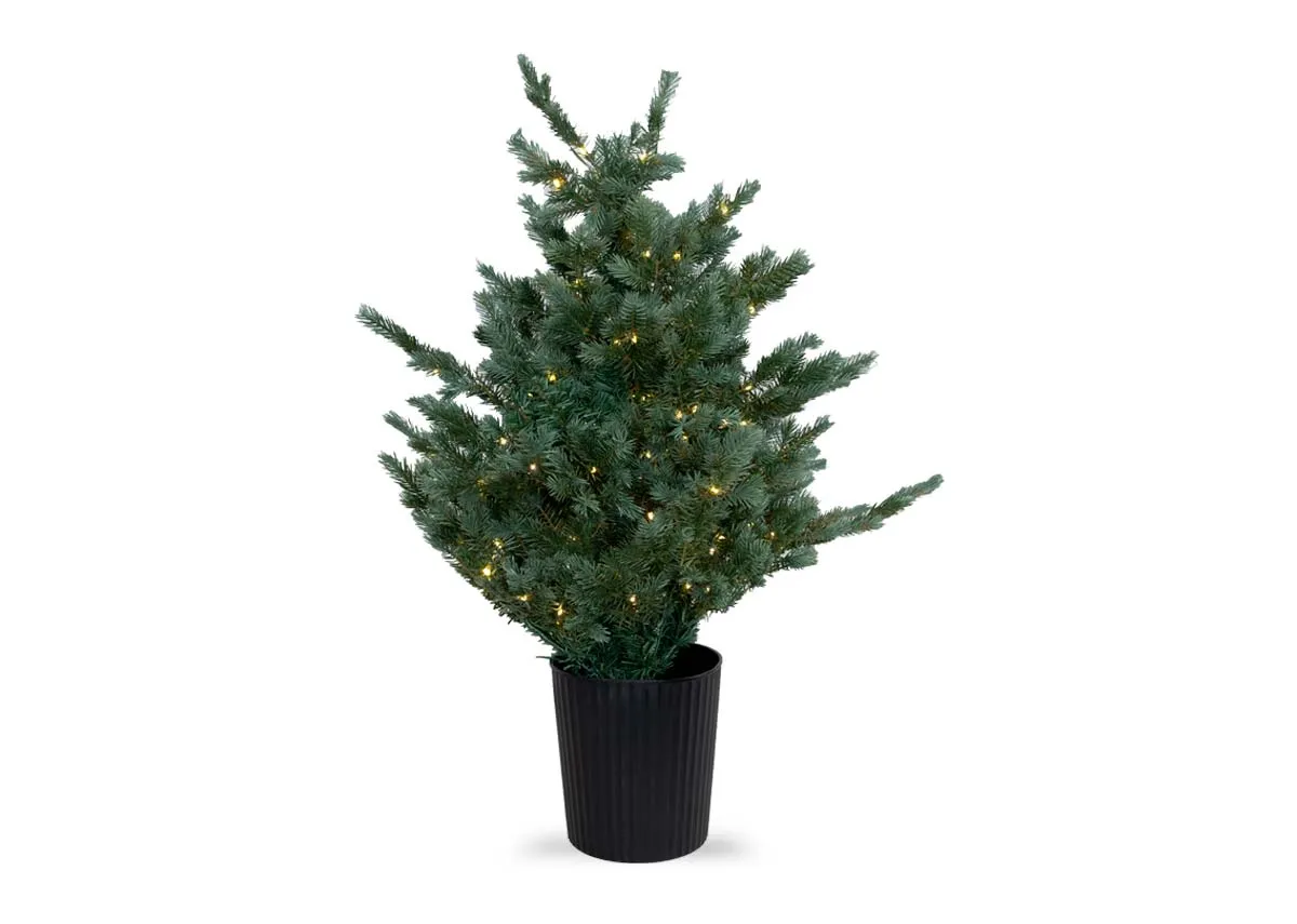 3ft Fraser Pot With Lights - Christmas Tree