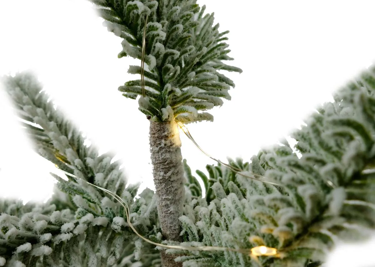 A dimension image of the Alder Snow Tree with 120cm Height