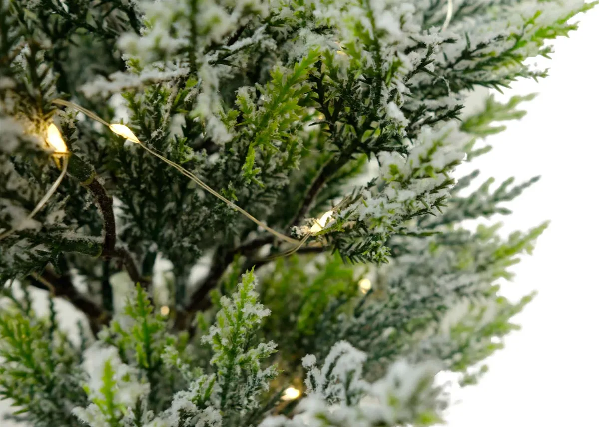 A dimension image of the Noelle Tree with 30cm x 90cm