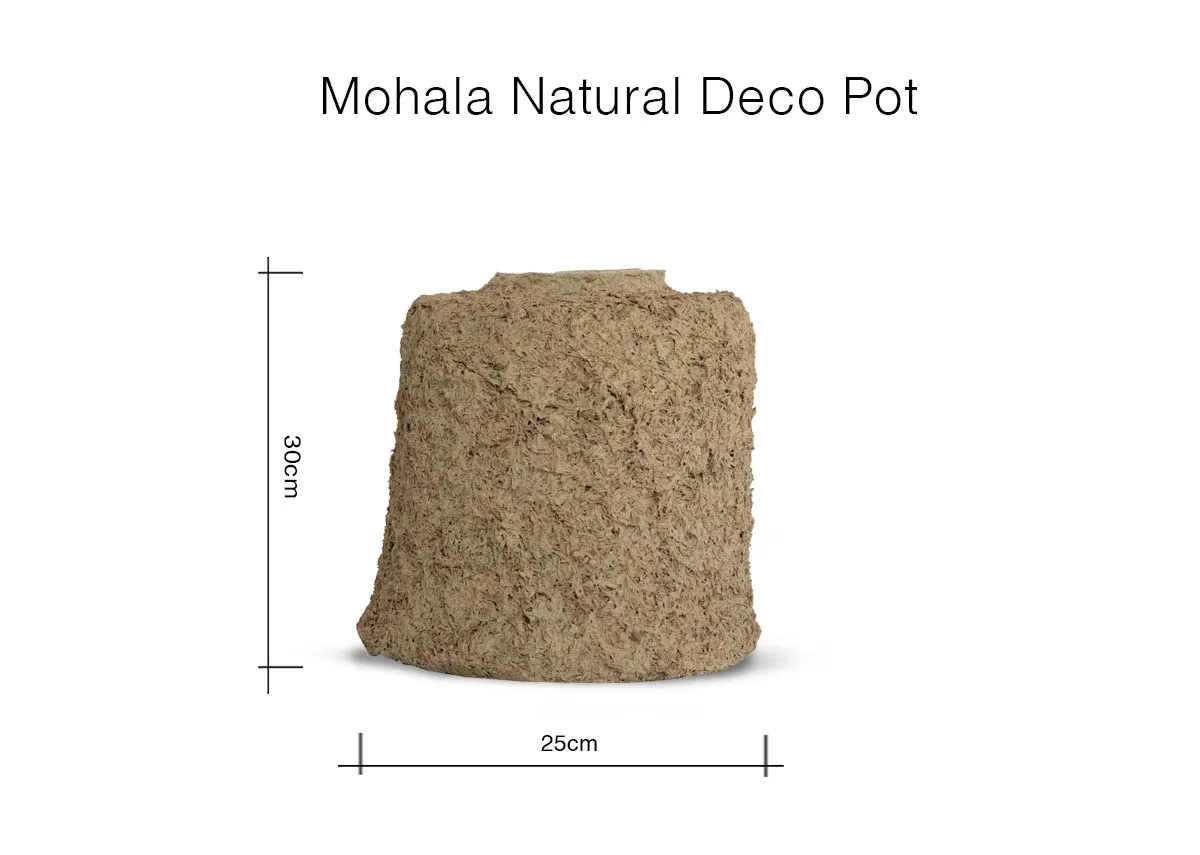 A dimension image of the Mohala Deco Pot with 25cm x 30cm