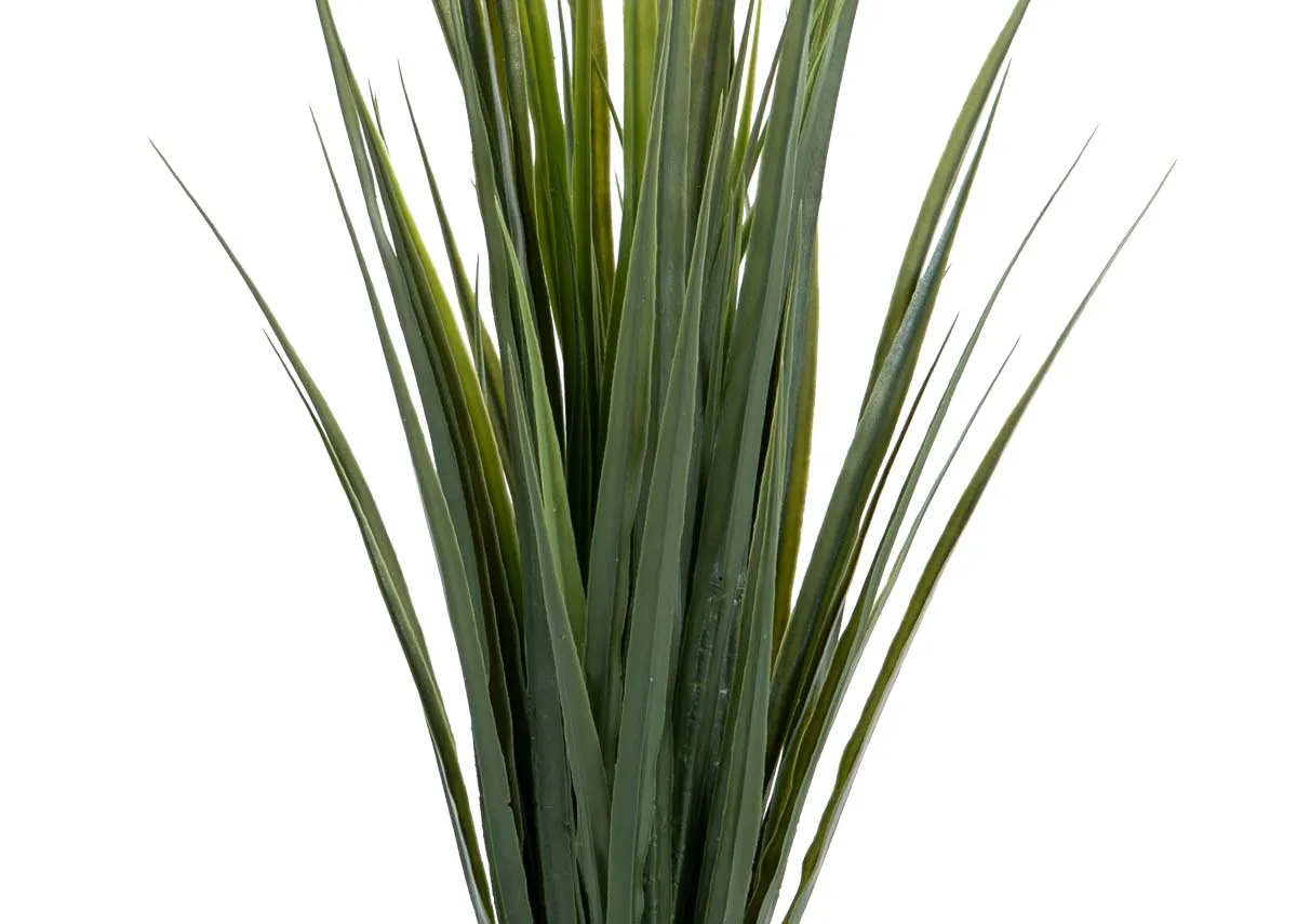 A dimension image of the Yucca Tree with 91cm