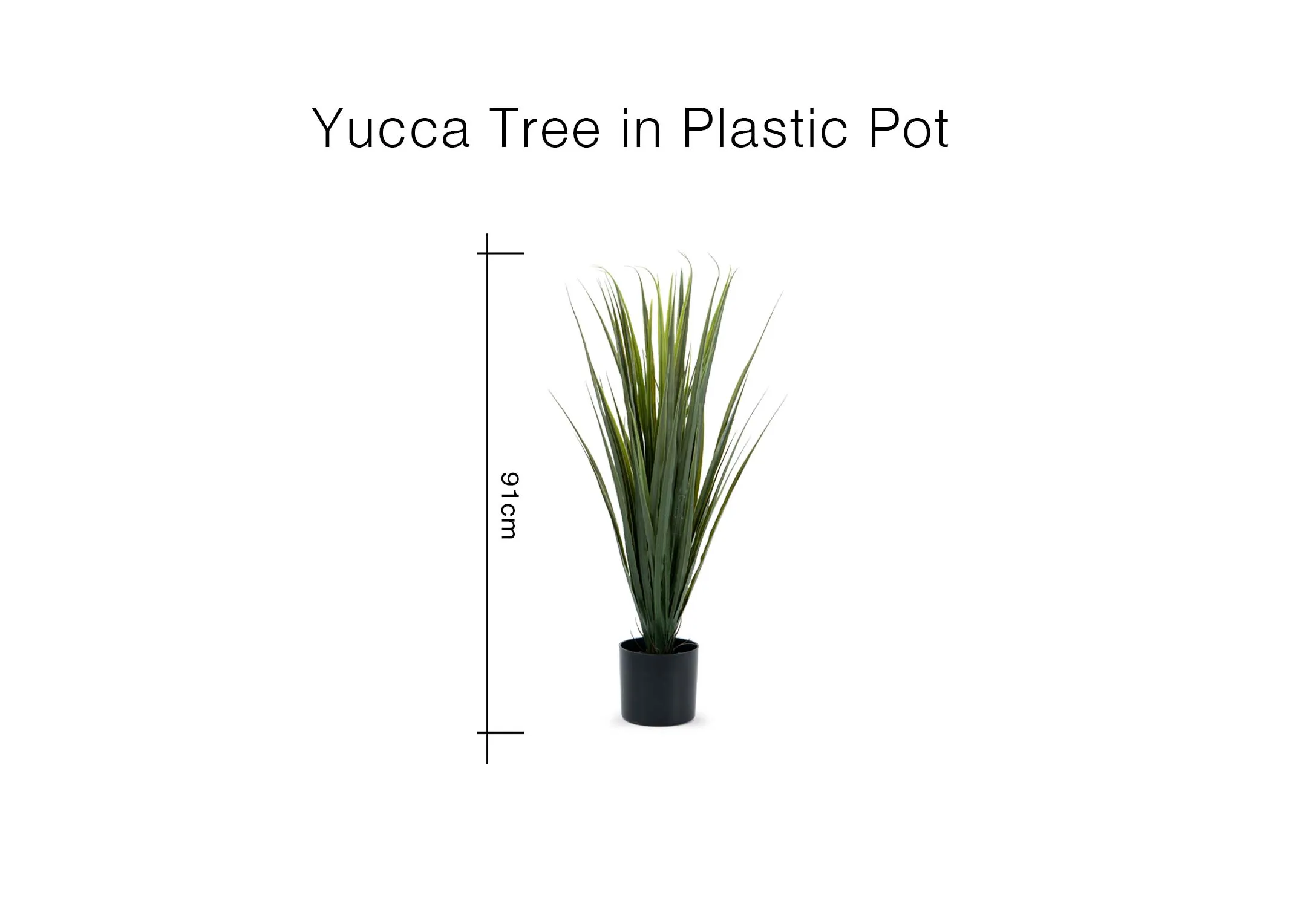 A dimension image of the Yucca Tree with 91cm