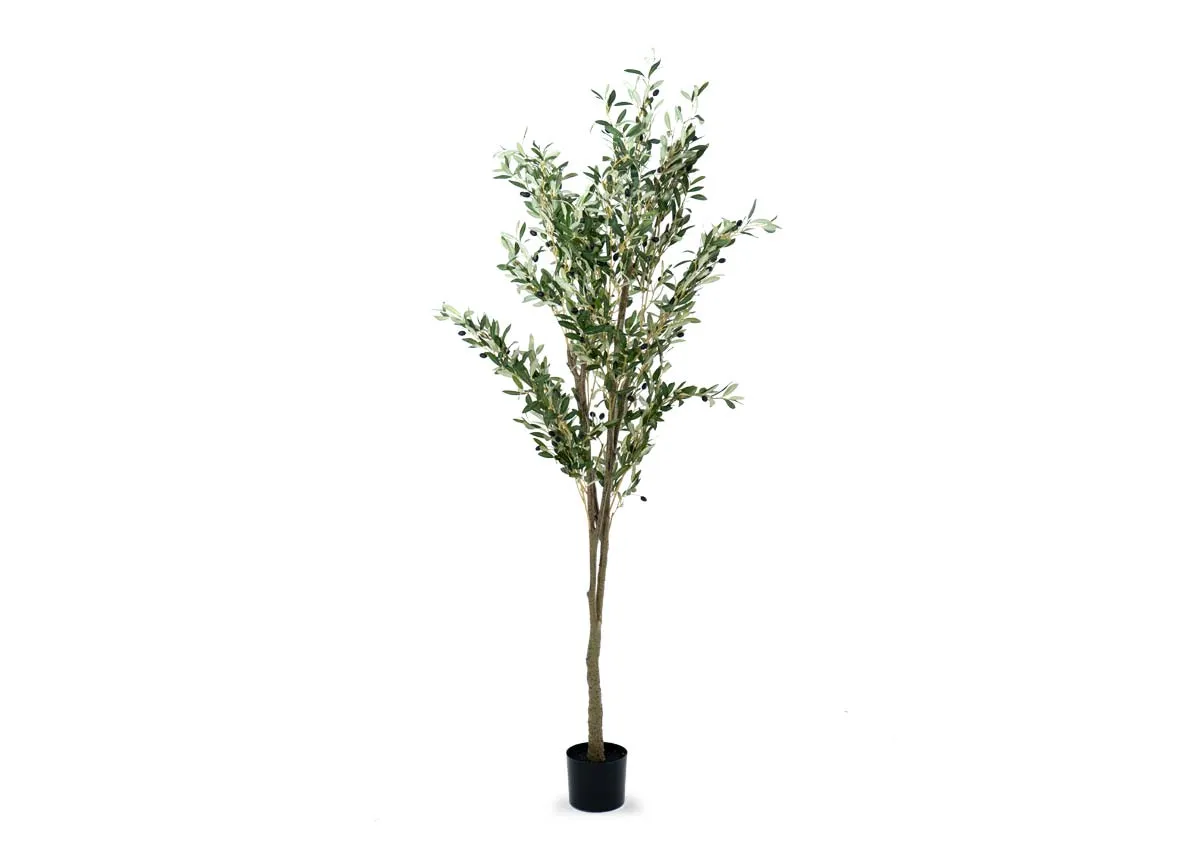 223cm Artificial Tree with Pot - Olive