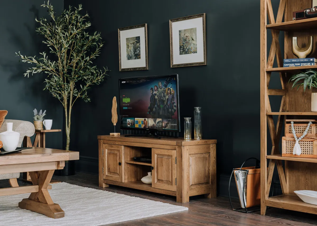 A lifestyle image of the Naxo tv unit with the Olive tree plant