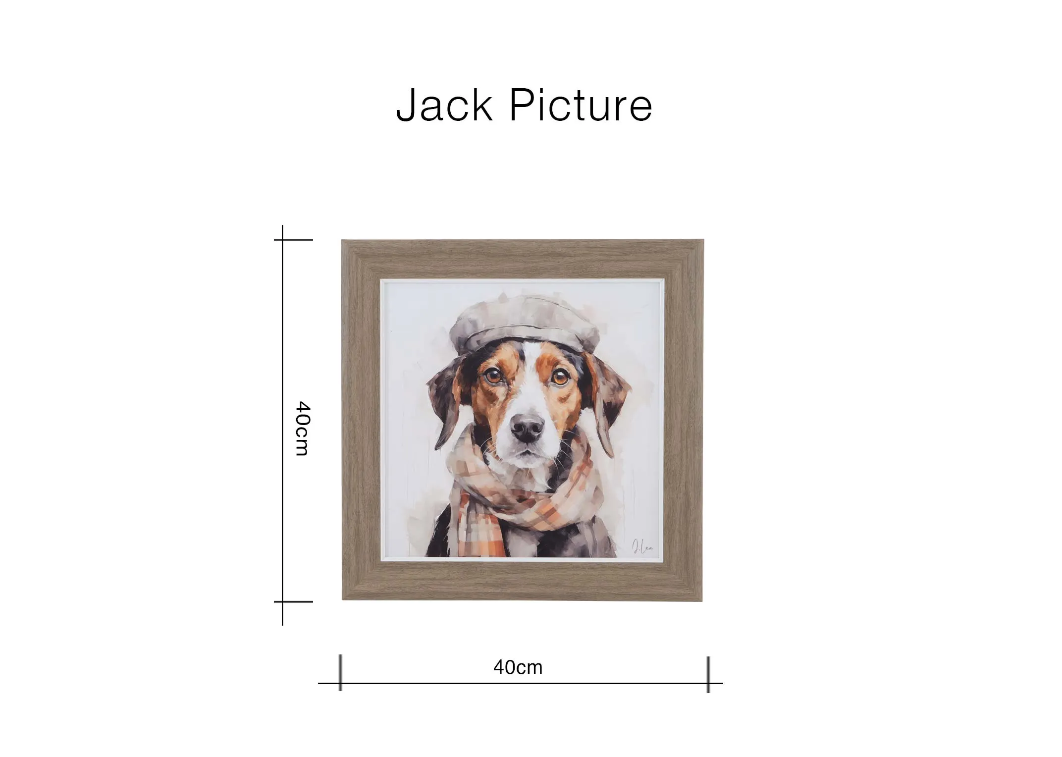 A dimension image of the Jack Picture with 40cm x 40cm