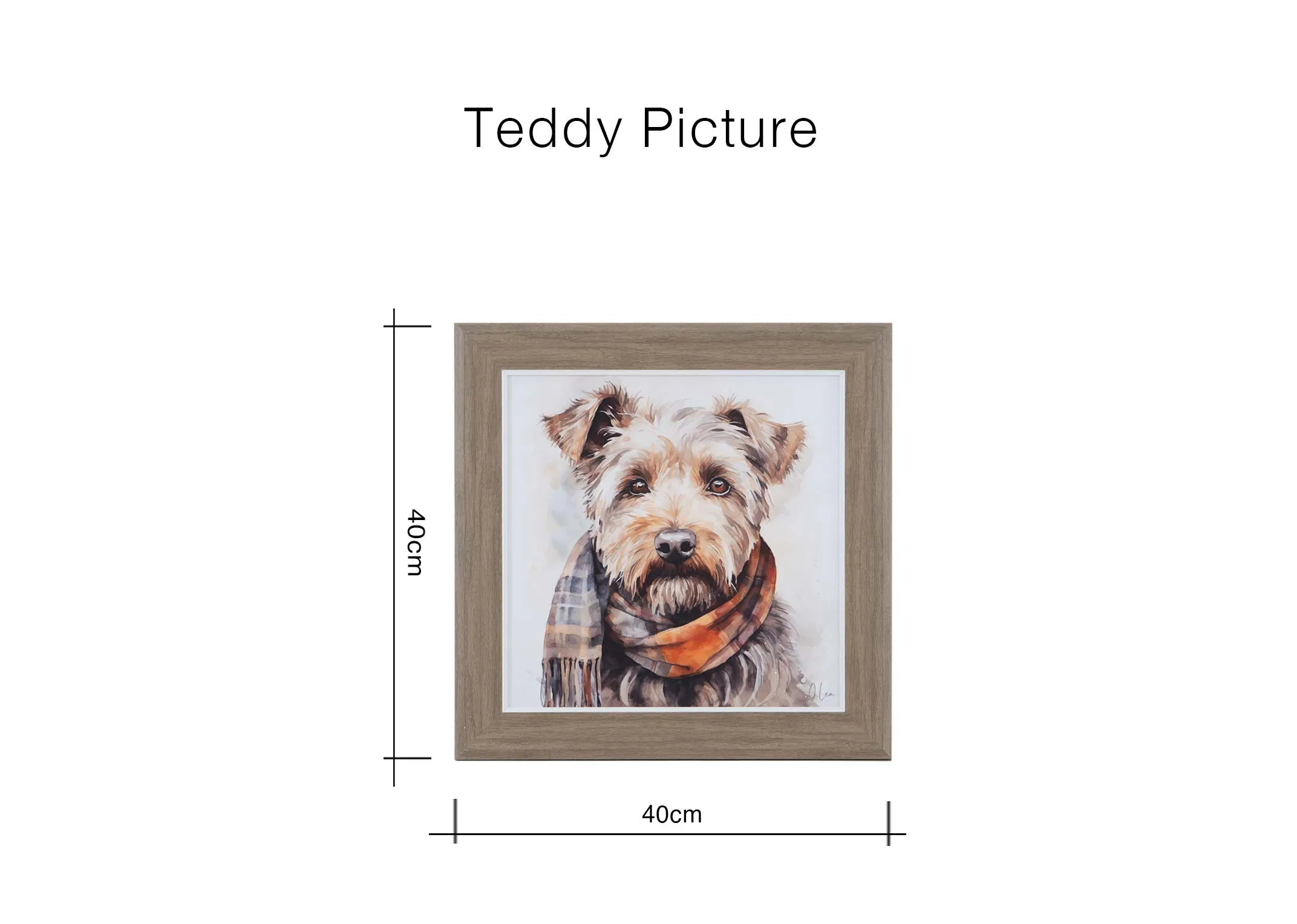 A dimension image of the Teddy Picture with 40cm x 40cm