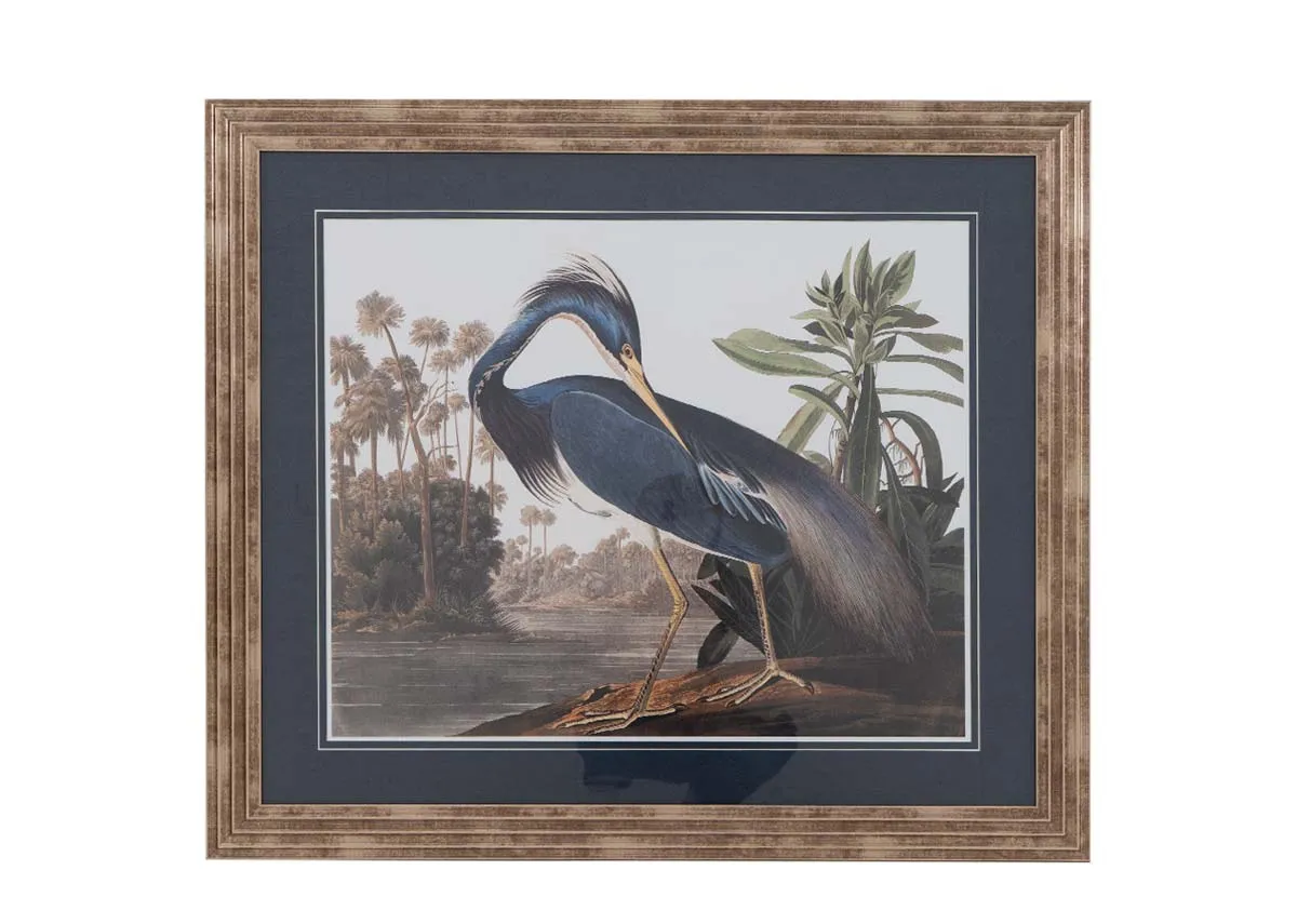 88cm x 76cm Framed Picture - Louisiana Heron