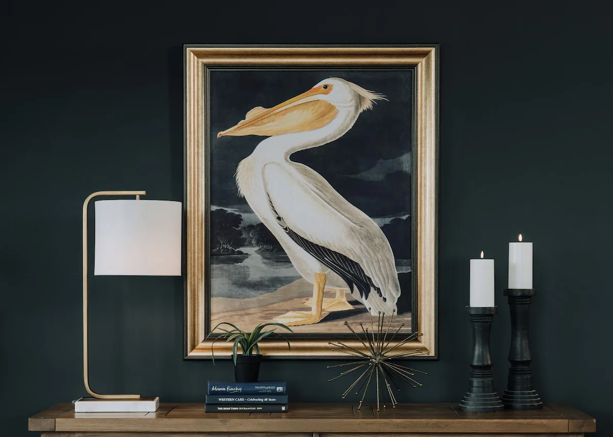 85cm x 105cm Framed Picture - White Pelican