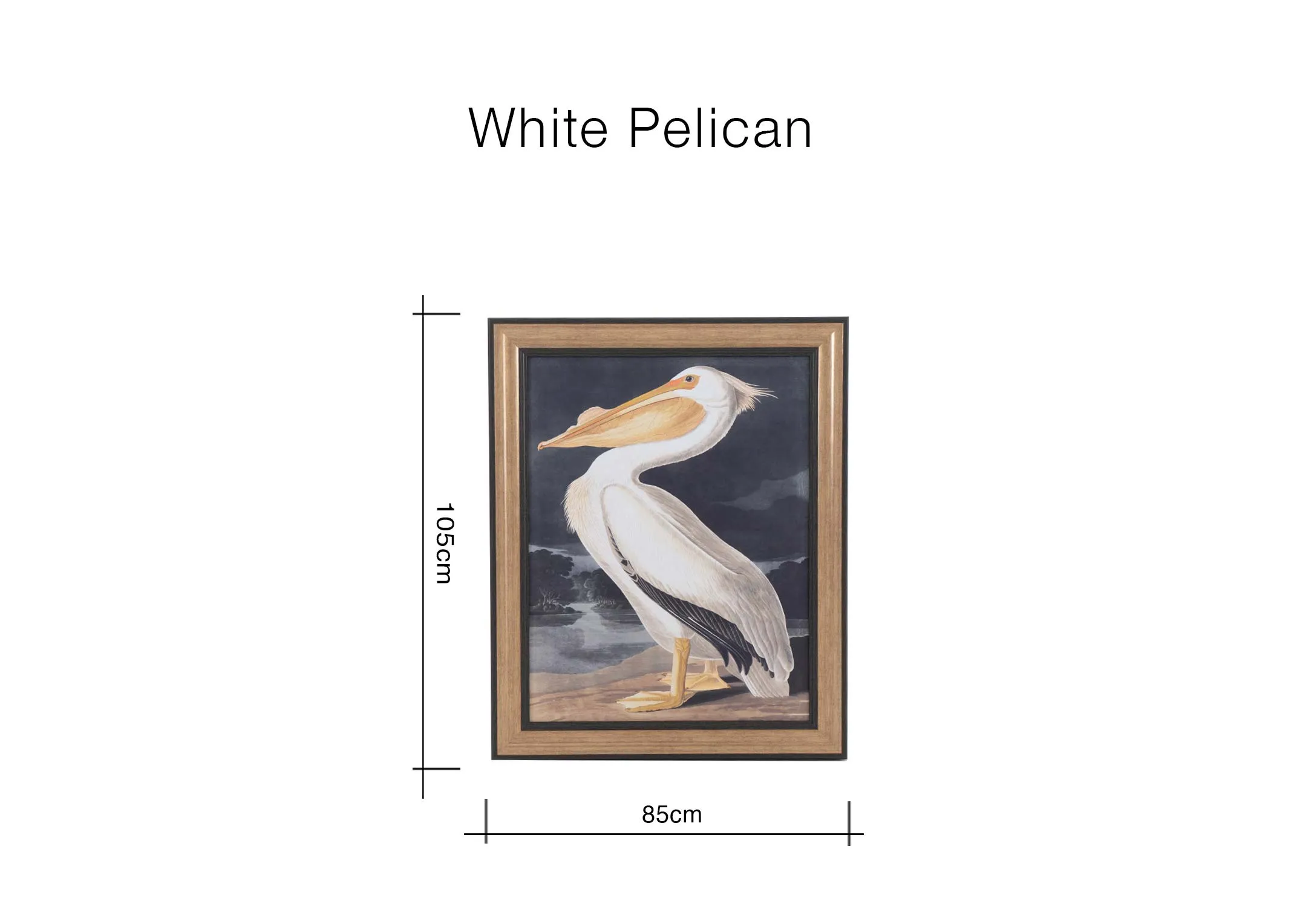 A dimension image of the White Pelican print with 85cm x 105cm
