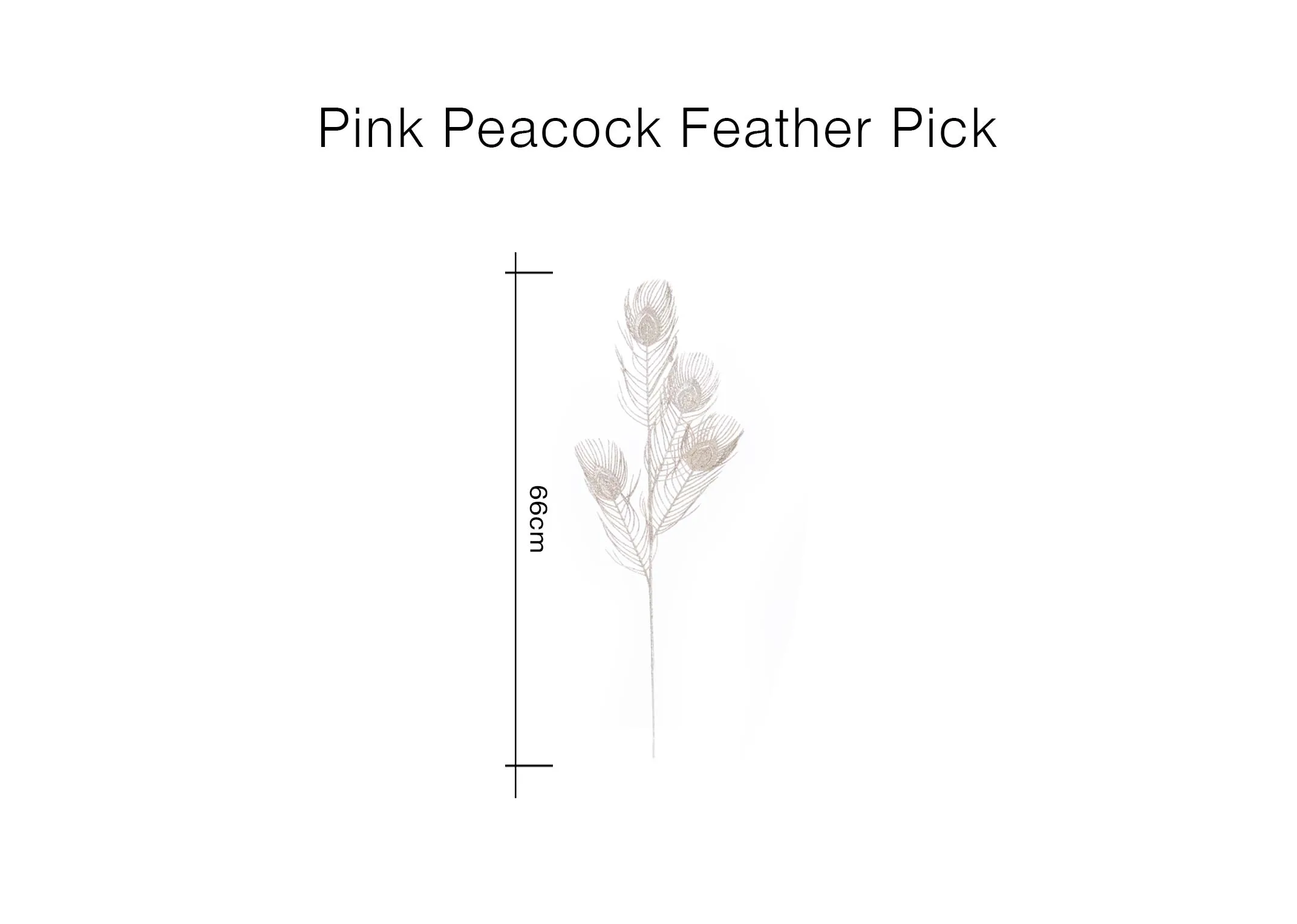 A dimension image of the Pink Peacock pick with 66cm