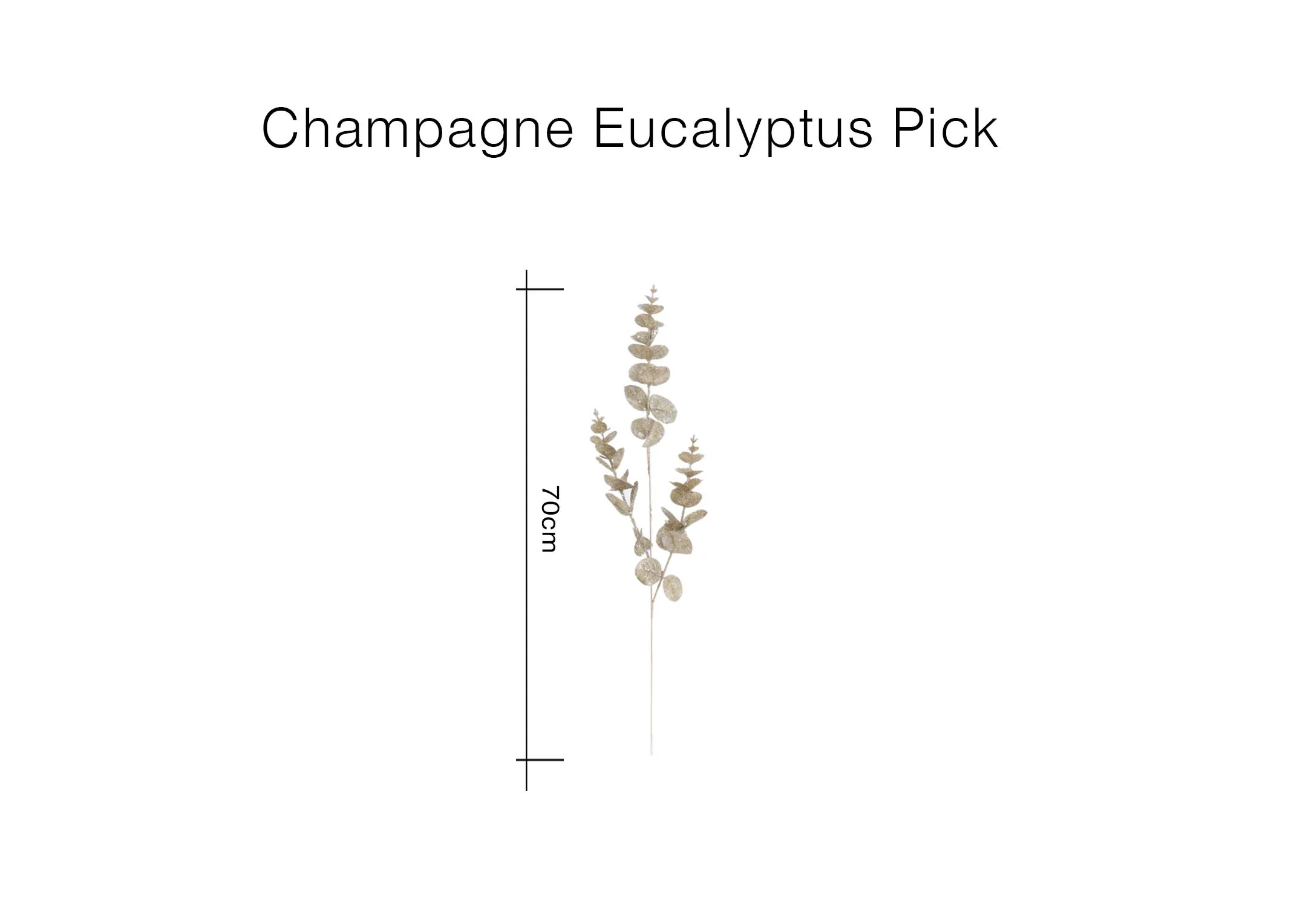 A dimension image of the Champagne pick with 70cm