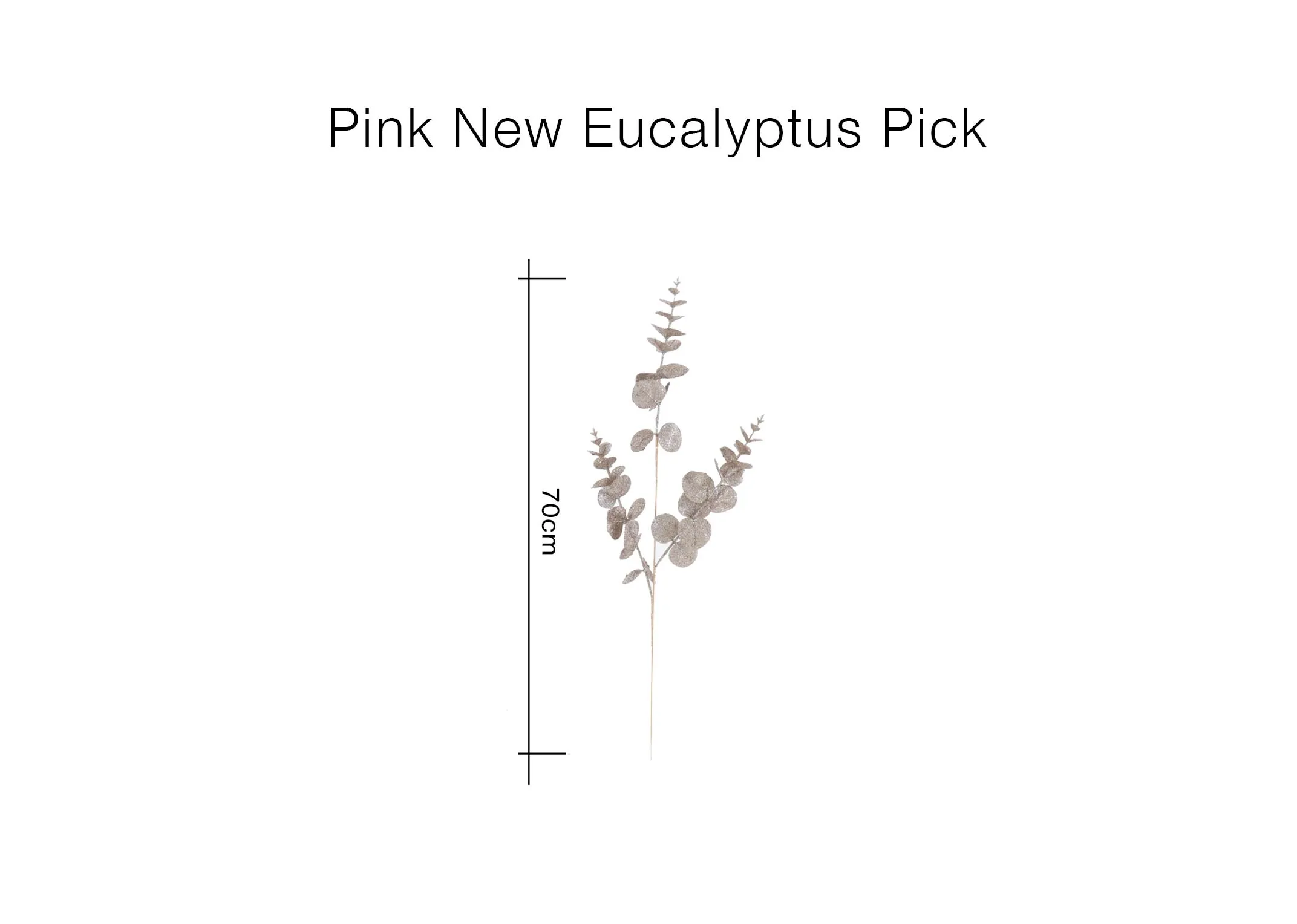 A dimension image of the pink Eucalyptus pick with 70cm