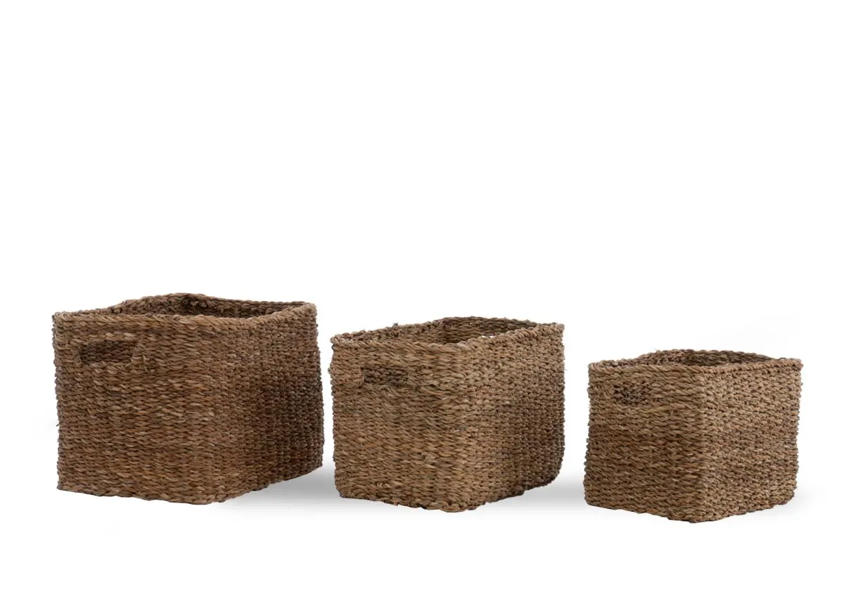 Set of 3 Natural Baskets - Cove