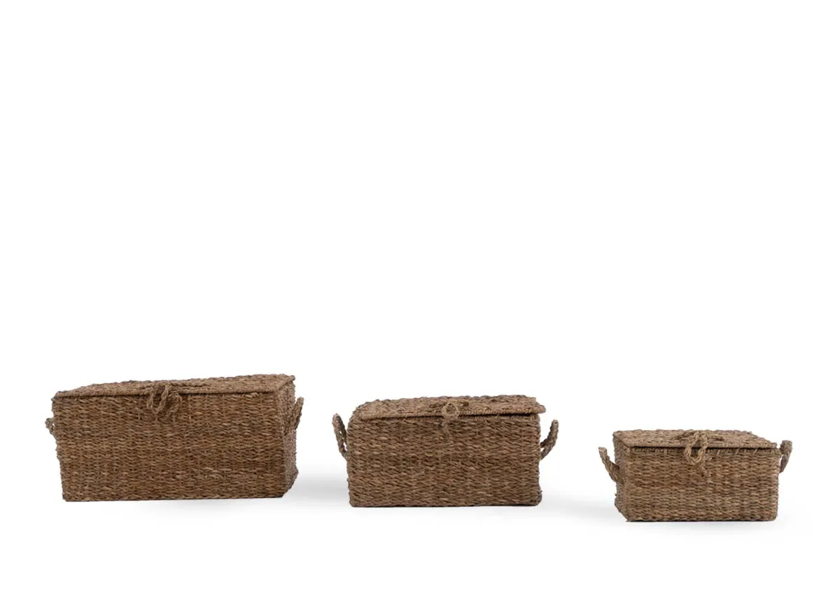 A dimension image of the Set of 3 Ariel Baskets with 30cm-50cm x 15cm - 25cm x 22cm - 34cm