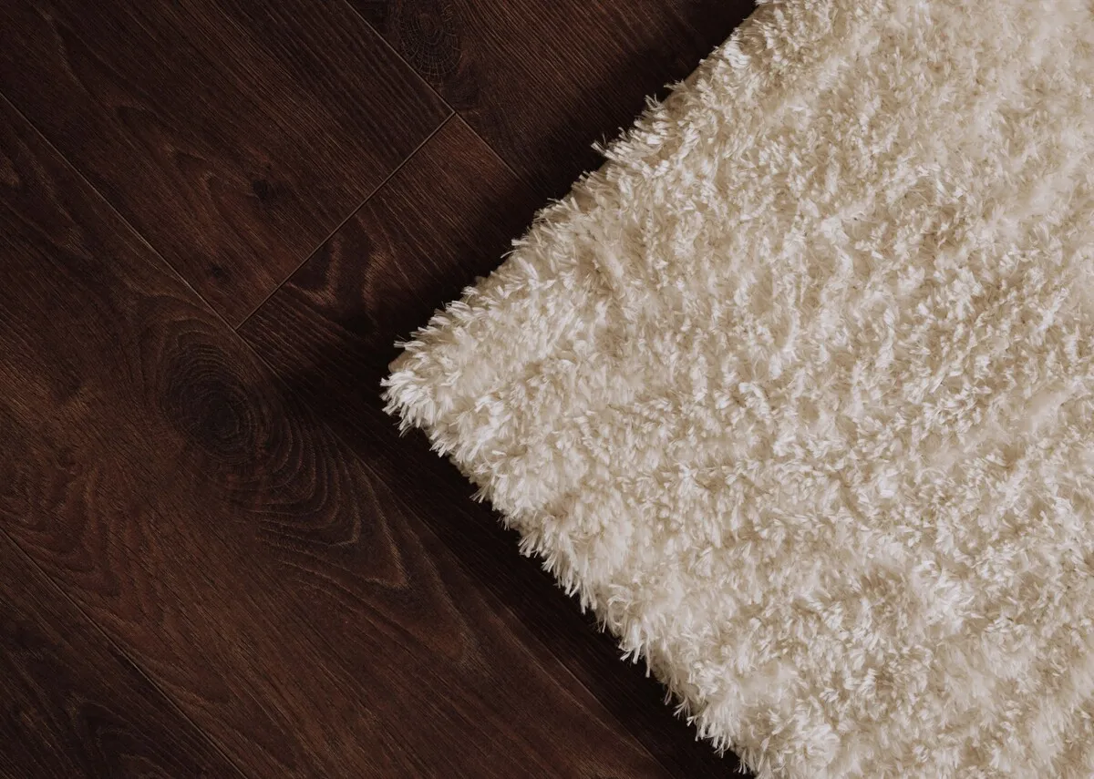 A lifestyle image of the Kassy rug