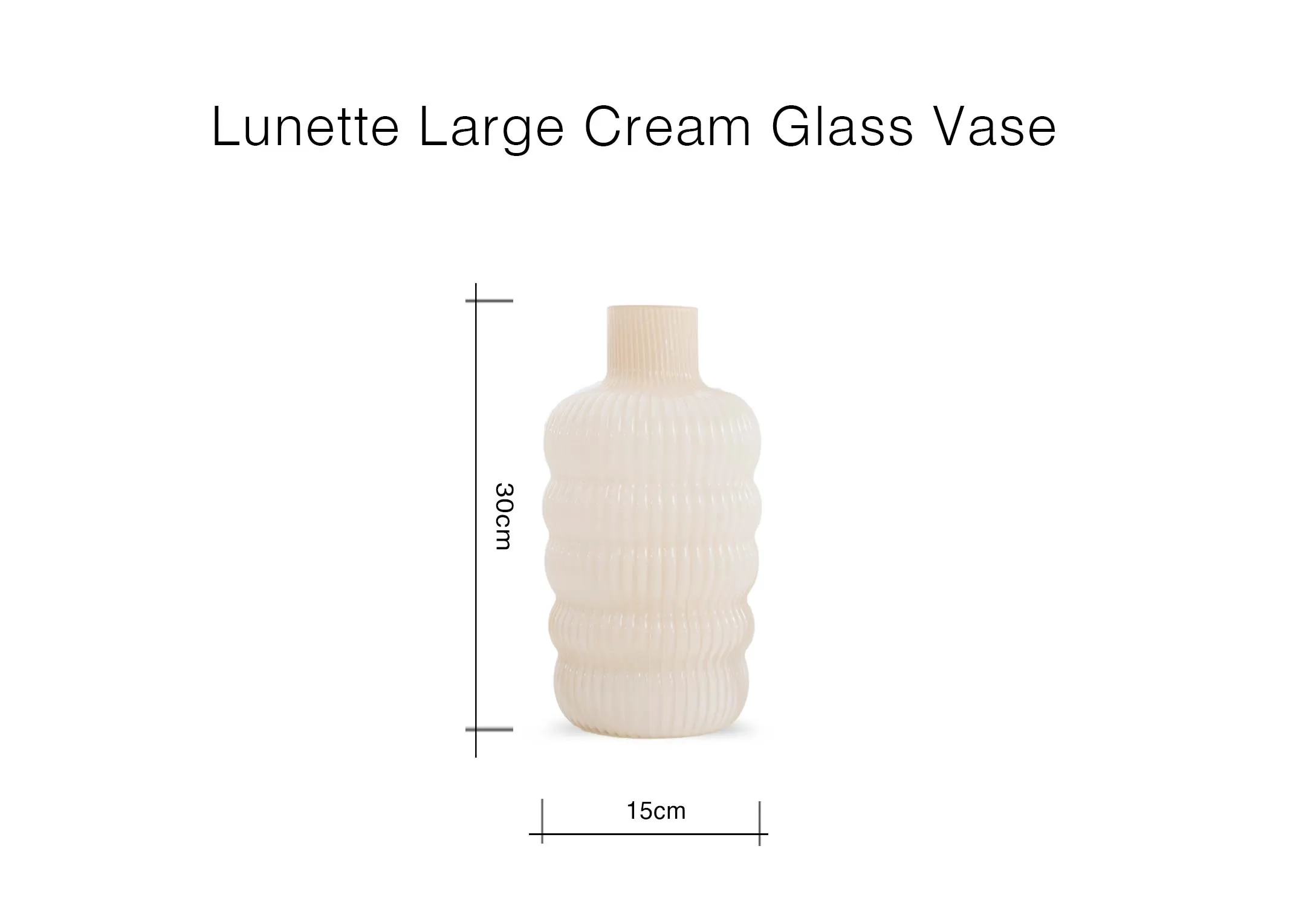 A dimension image of the Lunette Cream Vase with 15cm x 30cm