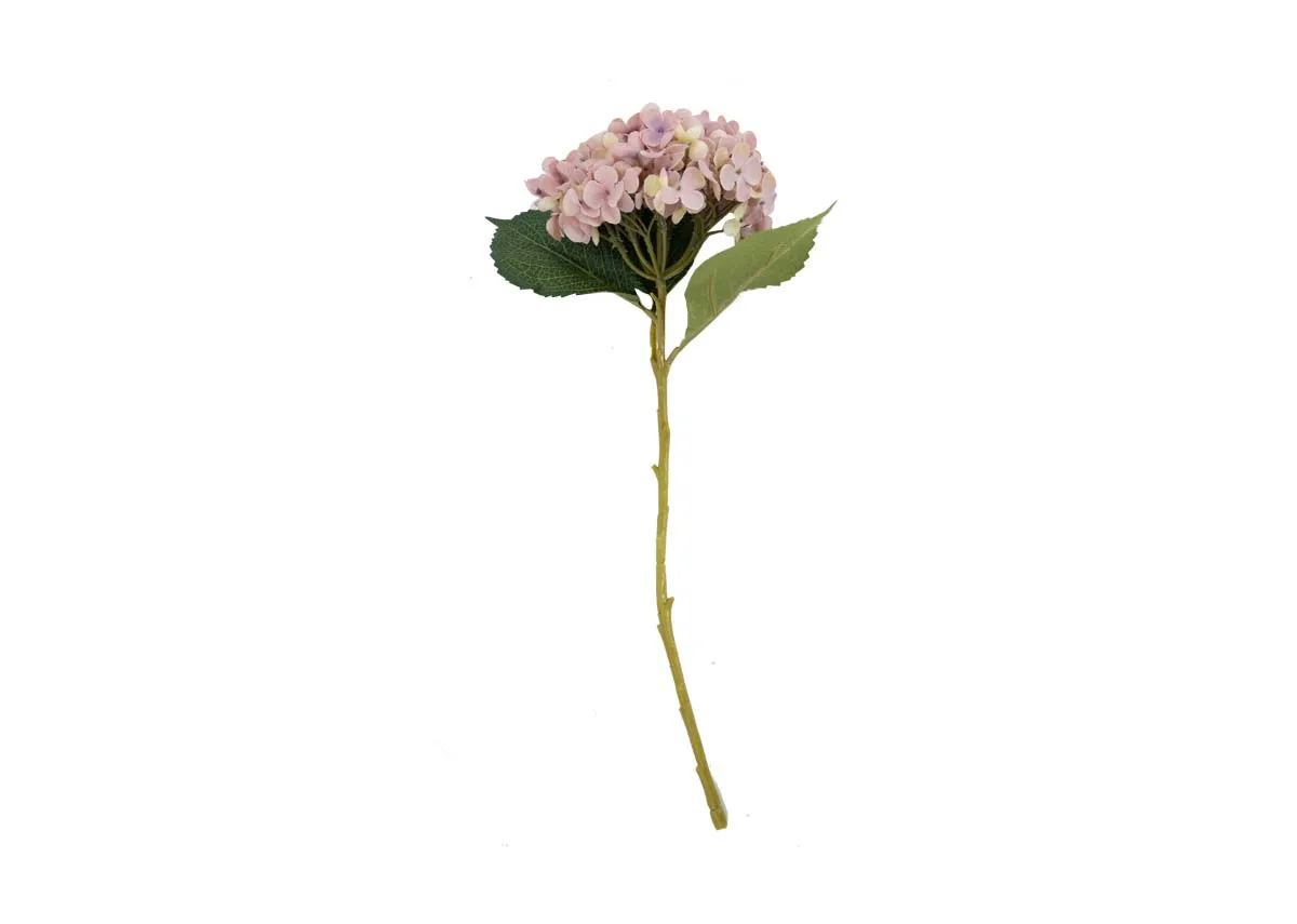 Purple Annabelle Stem - Hydrangea