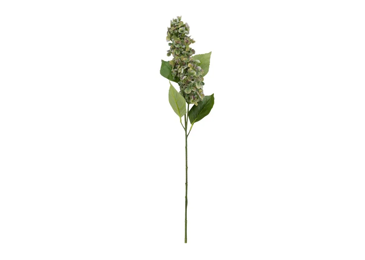 Green Paniculata Stem - Hydrangea