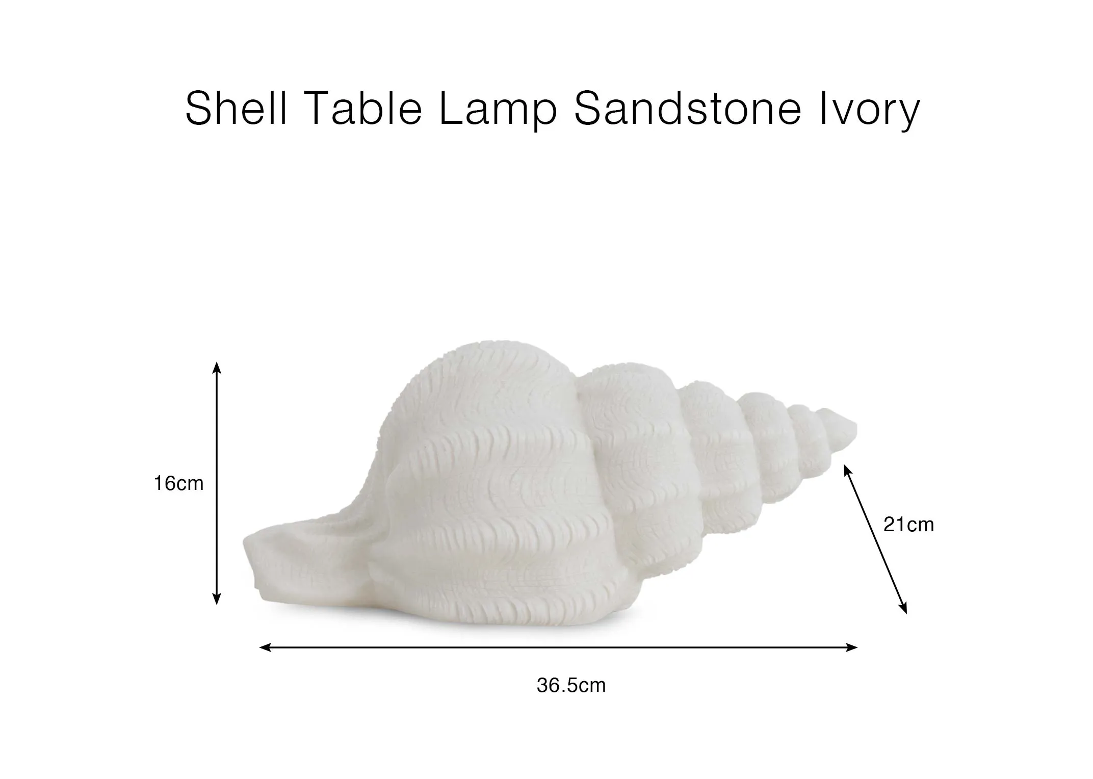 Adimensionimage of the Shell table lamp with 36cmx 16cm x 20cm