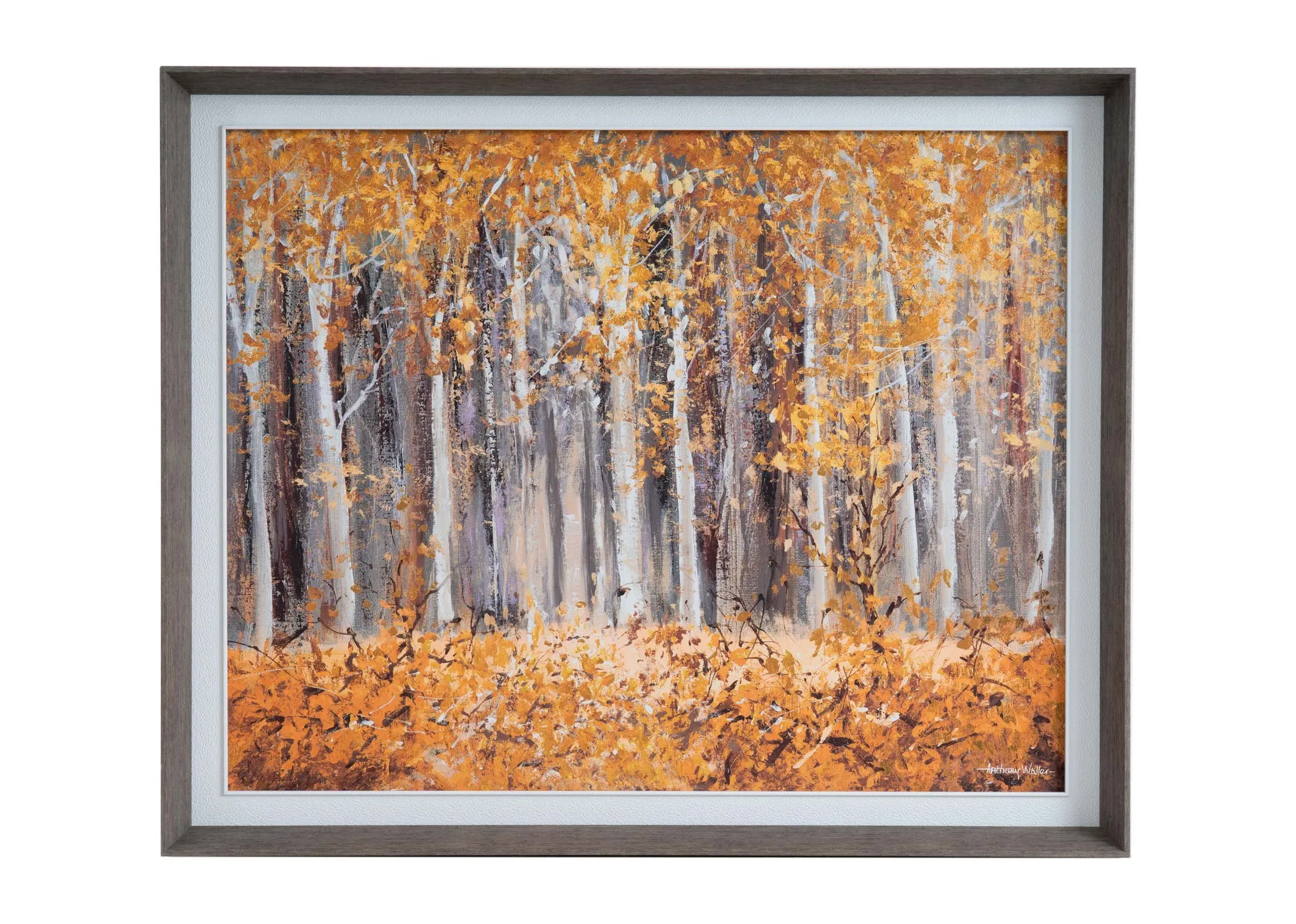 A grey wood frame of an Anthony Waller woodland print. Front view of an autumnal woodland.