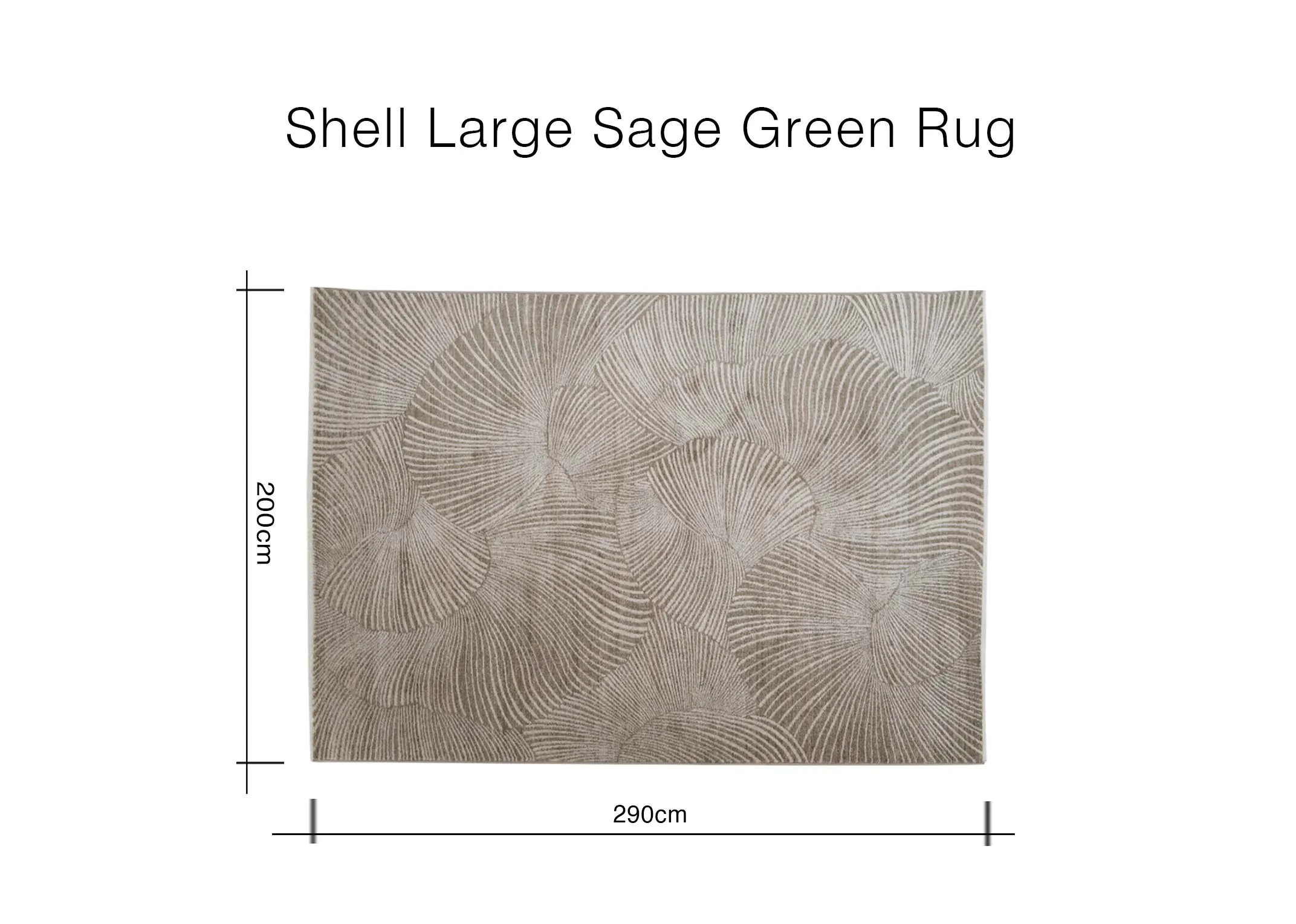 Dimensions Image