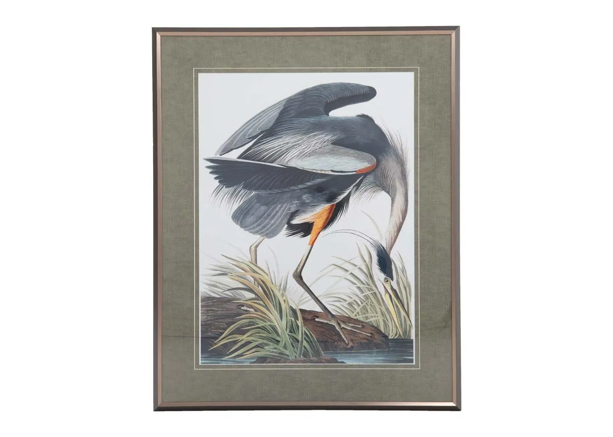 81cm x 100cm Framed Print - Vintage Blue Heron