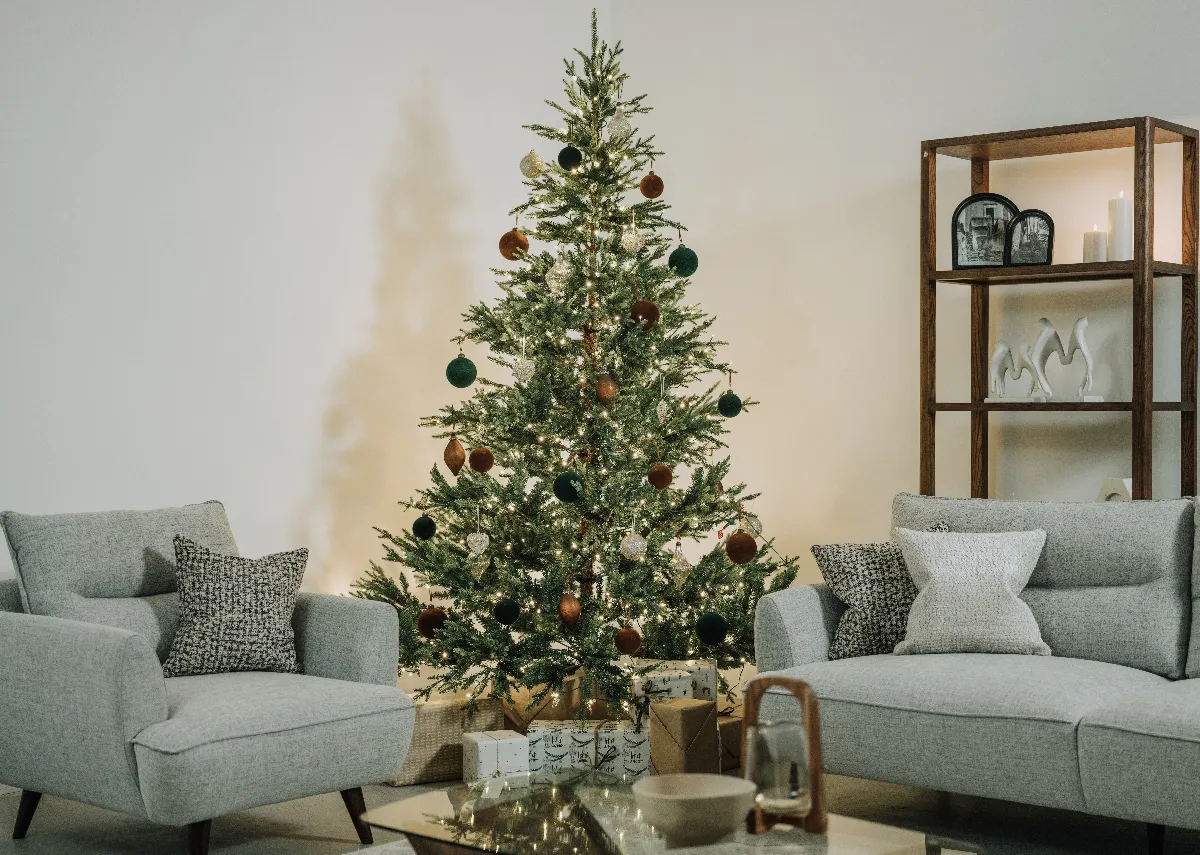 Douglas 8ft (240cm) With 650WW LED Lights - Christmas Tree