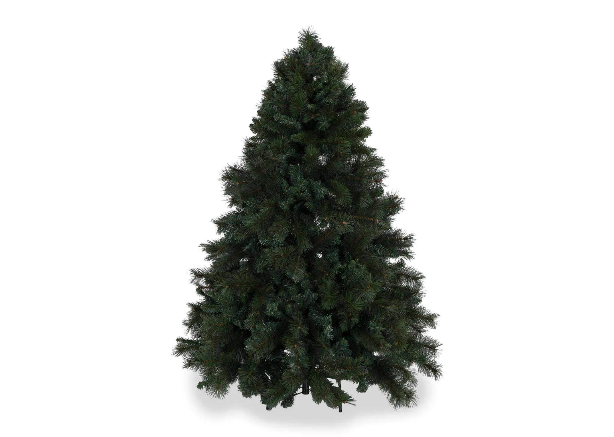  A view in full from the front of the Pine Christmas Tree highlighting the green leaves on it.