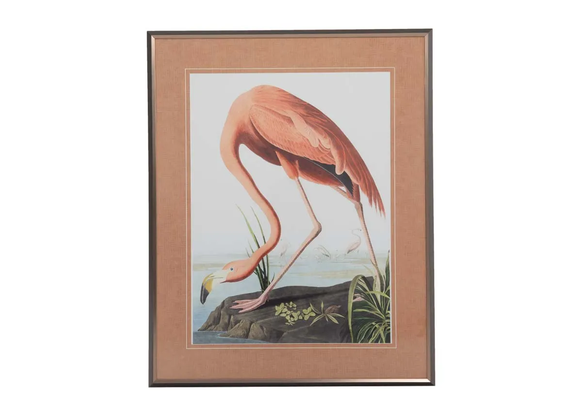 A pink framed print of a vintage flamingo by the water from EZ Livings Flamingo range.
